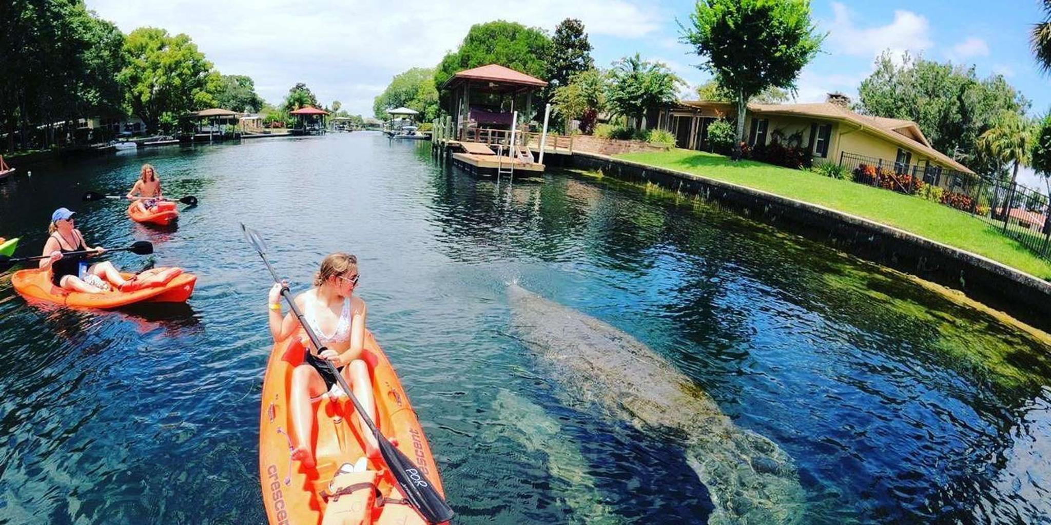 Crystal River Kayak Rental
