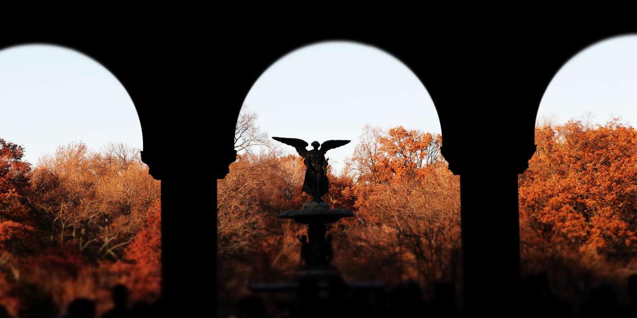 New York City Central Park Pedicab Tour - Image 2