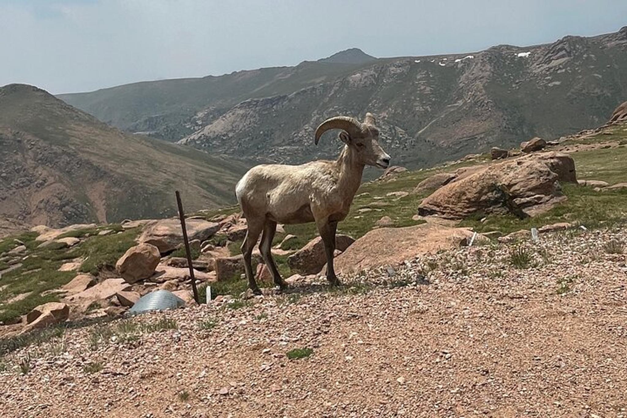 Colorado Springs Van Tour to Pikes Peak and Garden of the Gods - Image 6