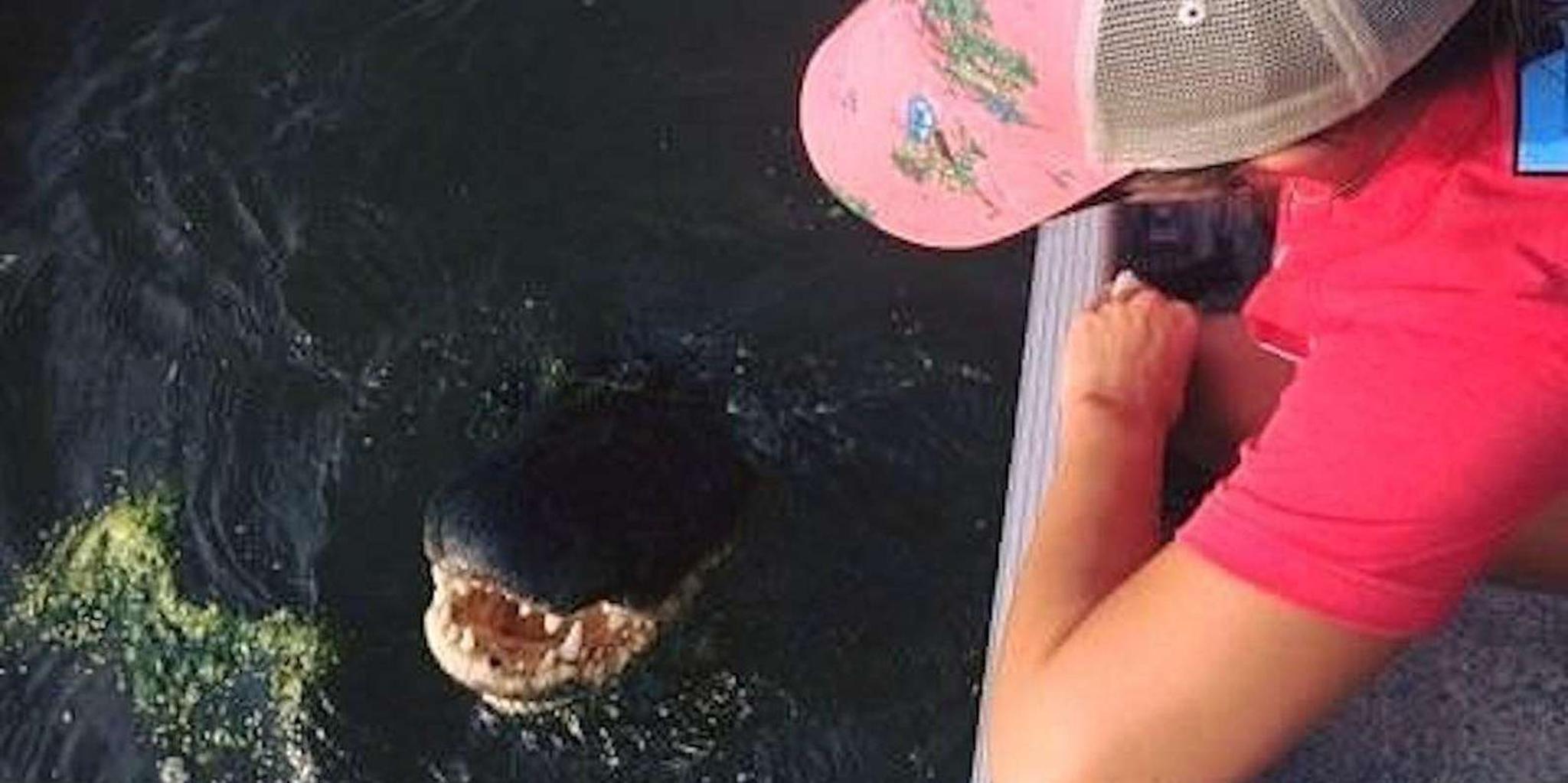 New Orleans Pontoon Swamp Tour with Wildlife Viewing - Image 3