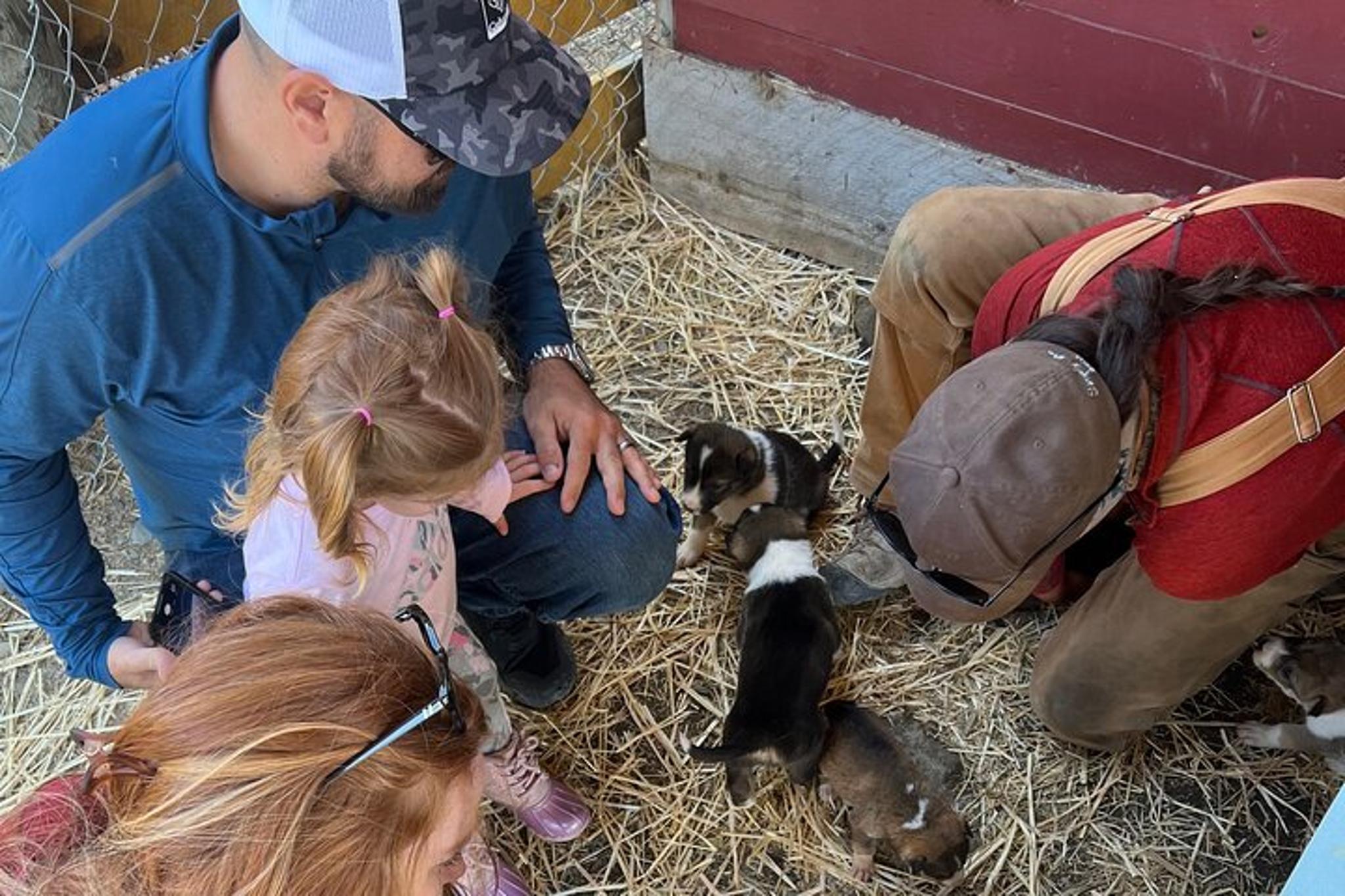 Skagway Dog Mushing and Yukon Experience - Image 6