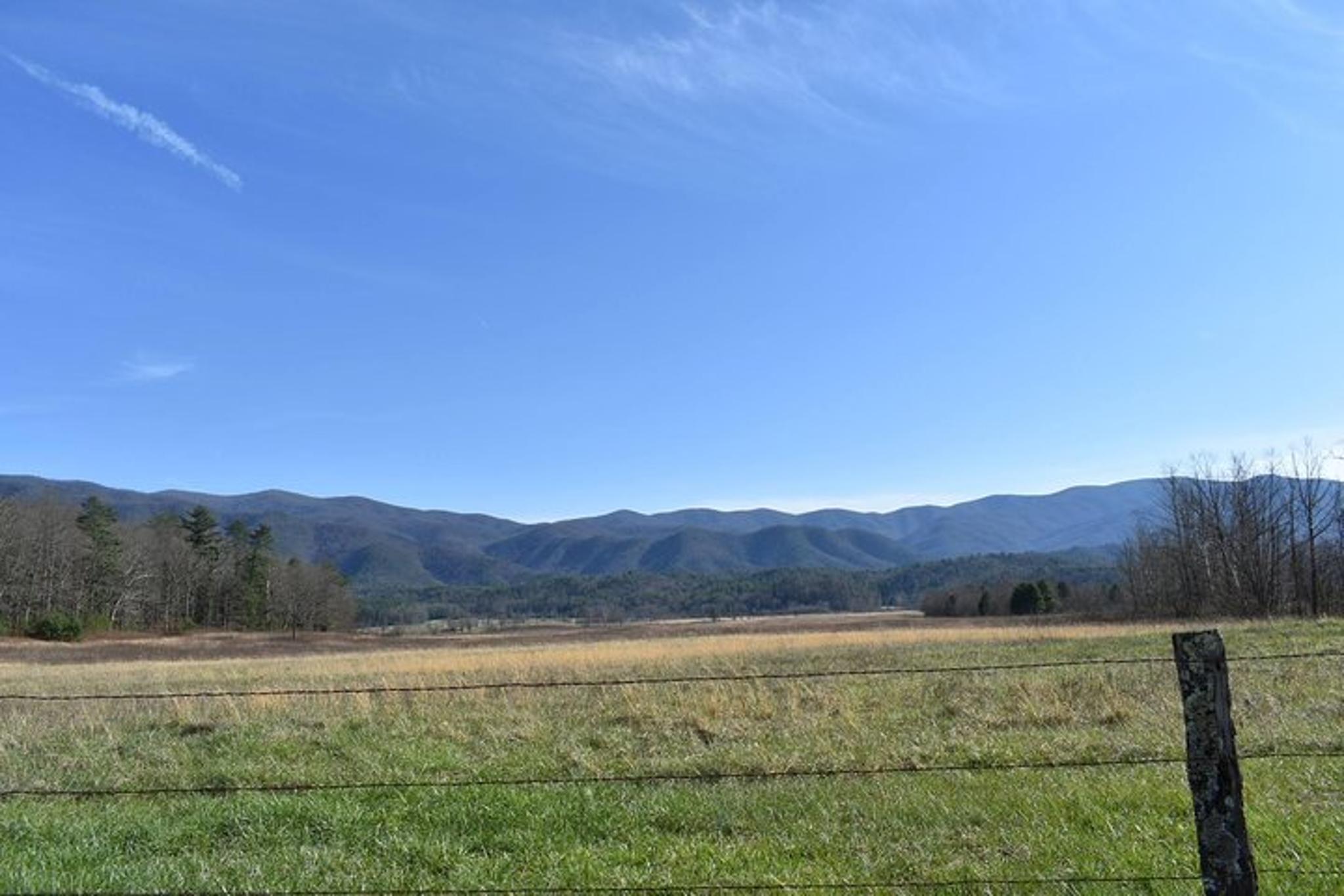 Pigeon Forge Cades Cove Sightseeing Bus Tour - Image 2