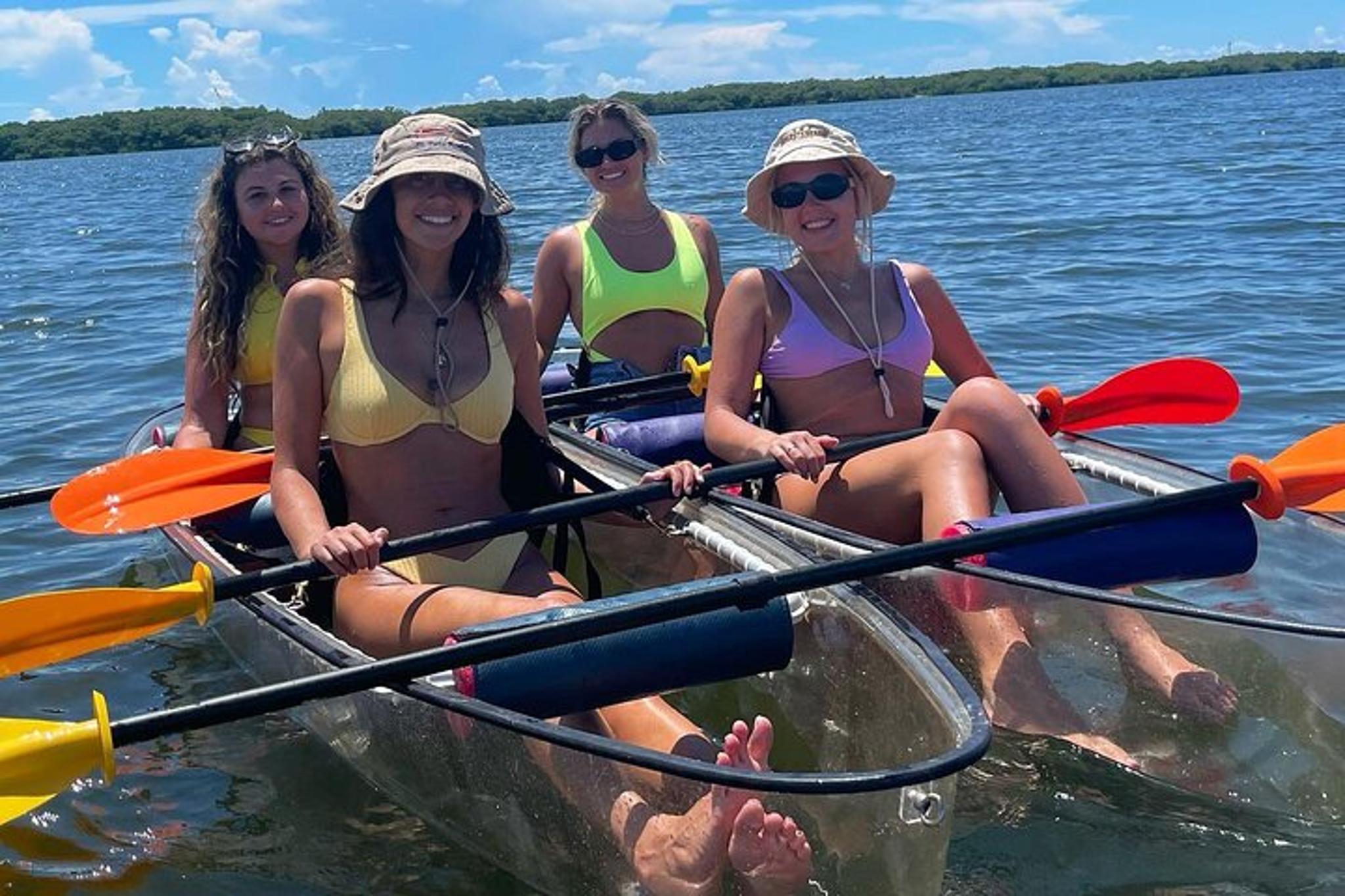 Tampa Manatee and Dolphin Kayak Tour 90 Min - Image 3
