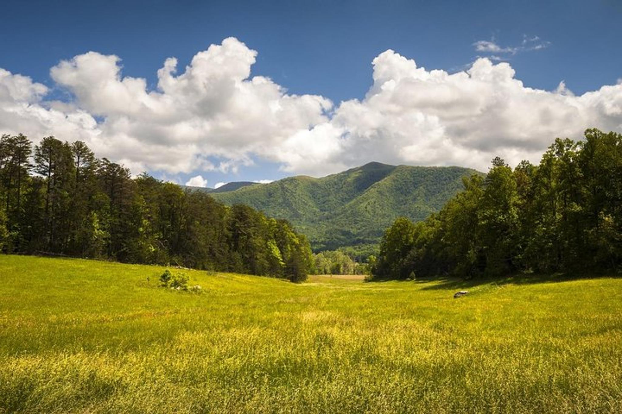 Pigeon Forge Smoky Mountains History Tour 6 hr - Image 2