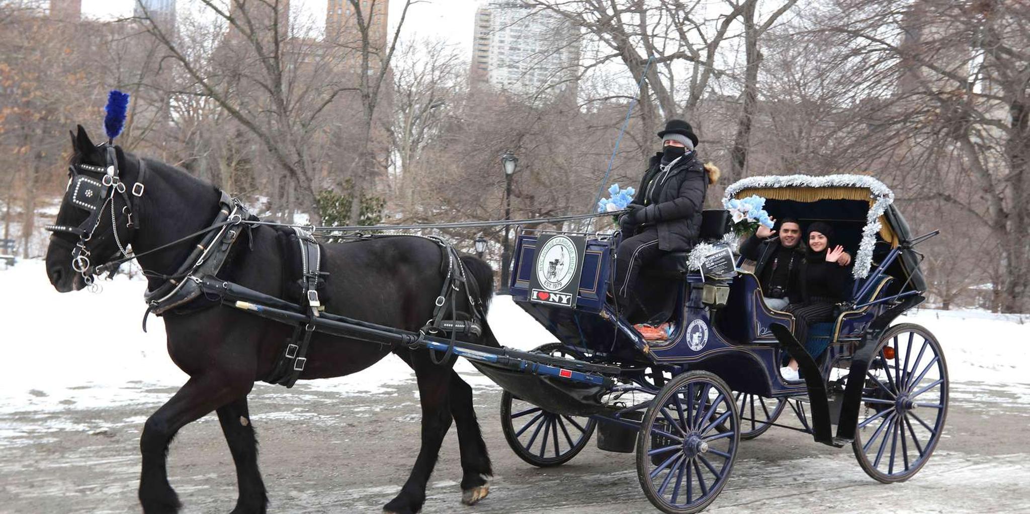 New York City Central Park Horse Carriage Ride 55 min - Image 5