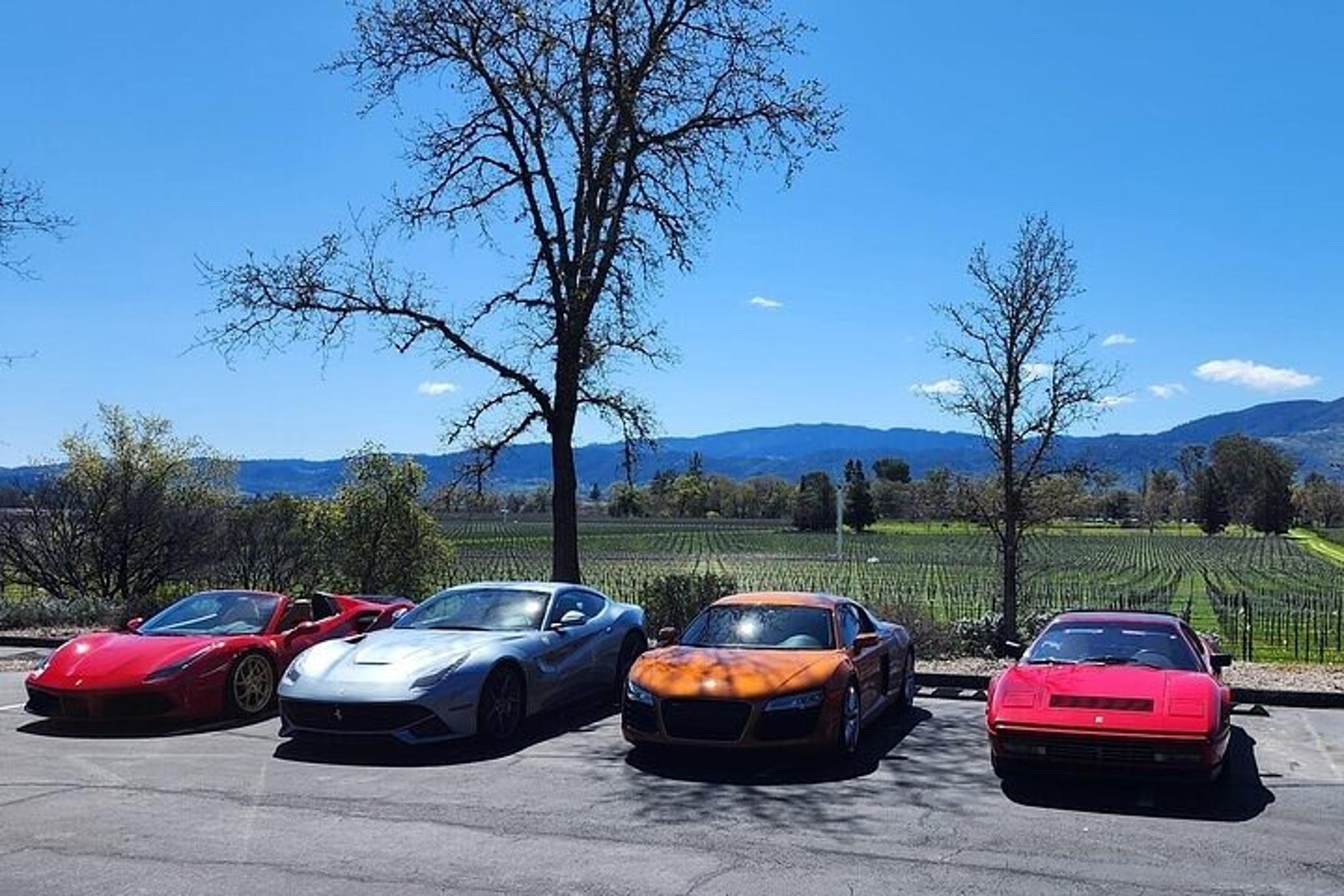 Sonoma and Napa Champagne and Wine Tour - Image 4