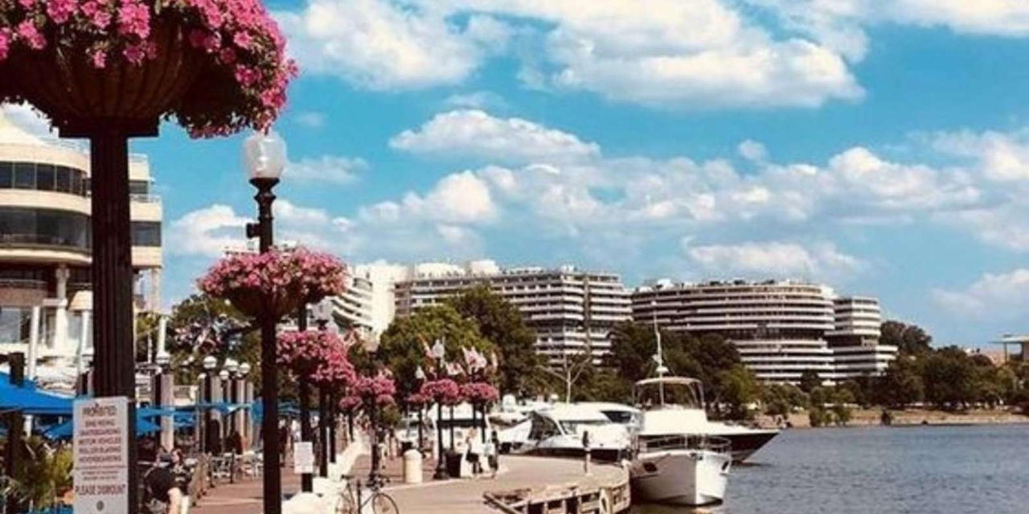 Washington D.C. Street Food Tour with Local Guide - Image 2