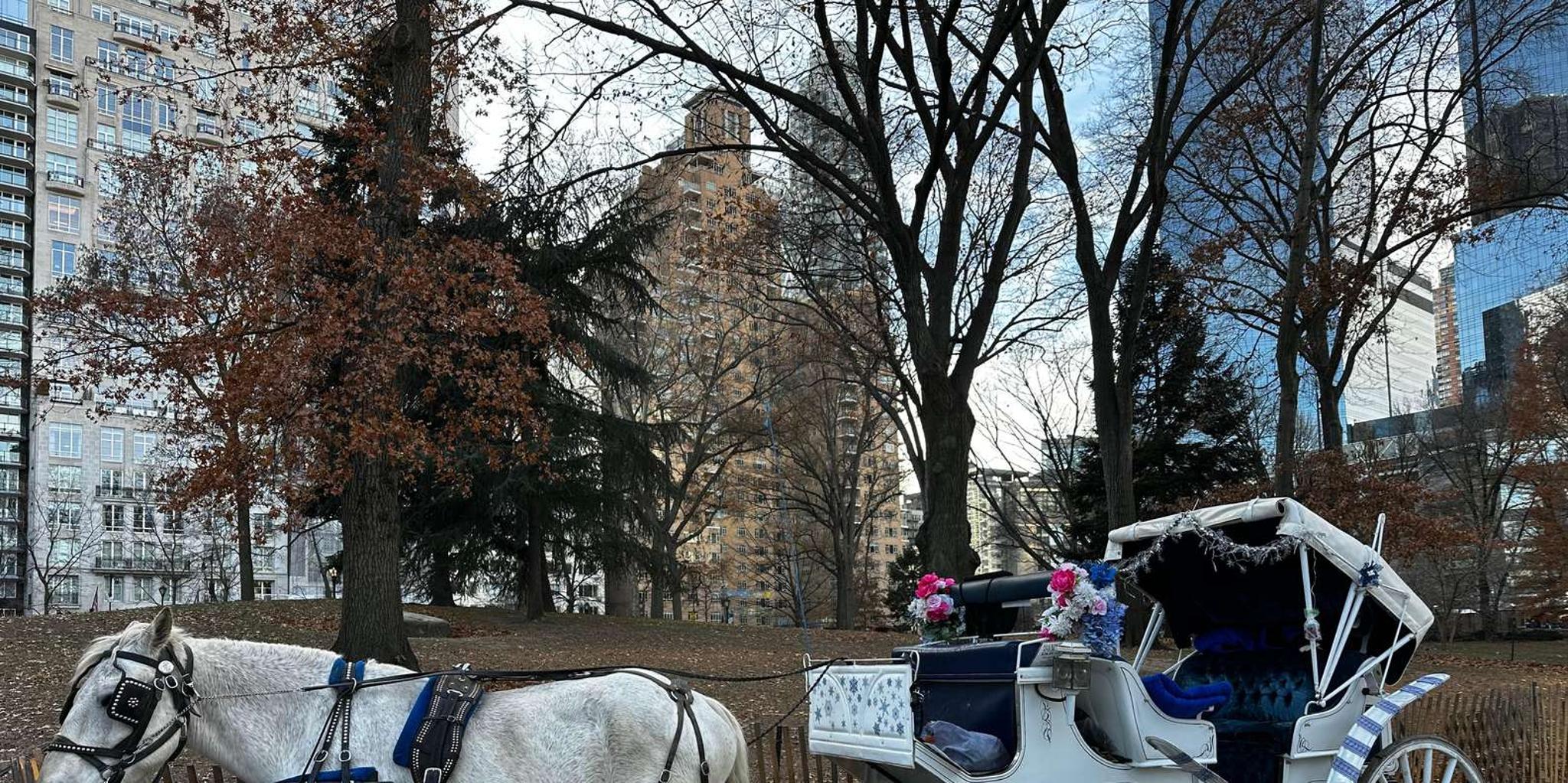 New York Central Park Horse-Drawn Carriage Tour - Image 2