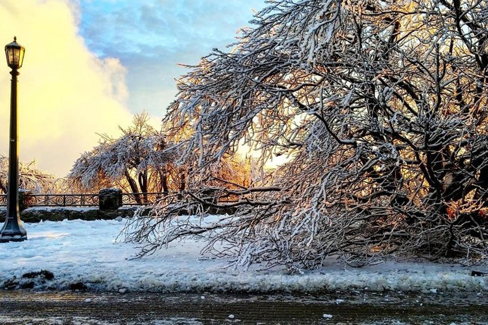 Niagara Falls Private Day Tour from Buffalo - Image 5