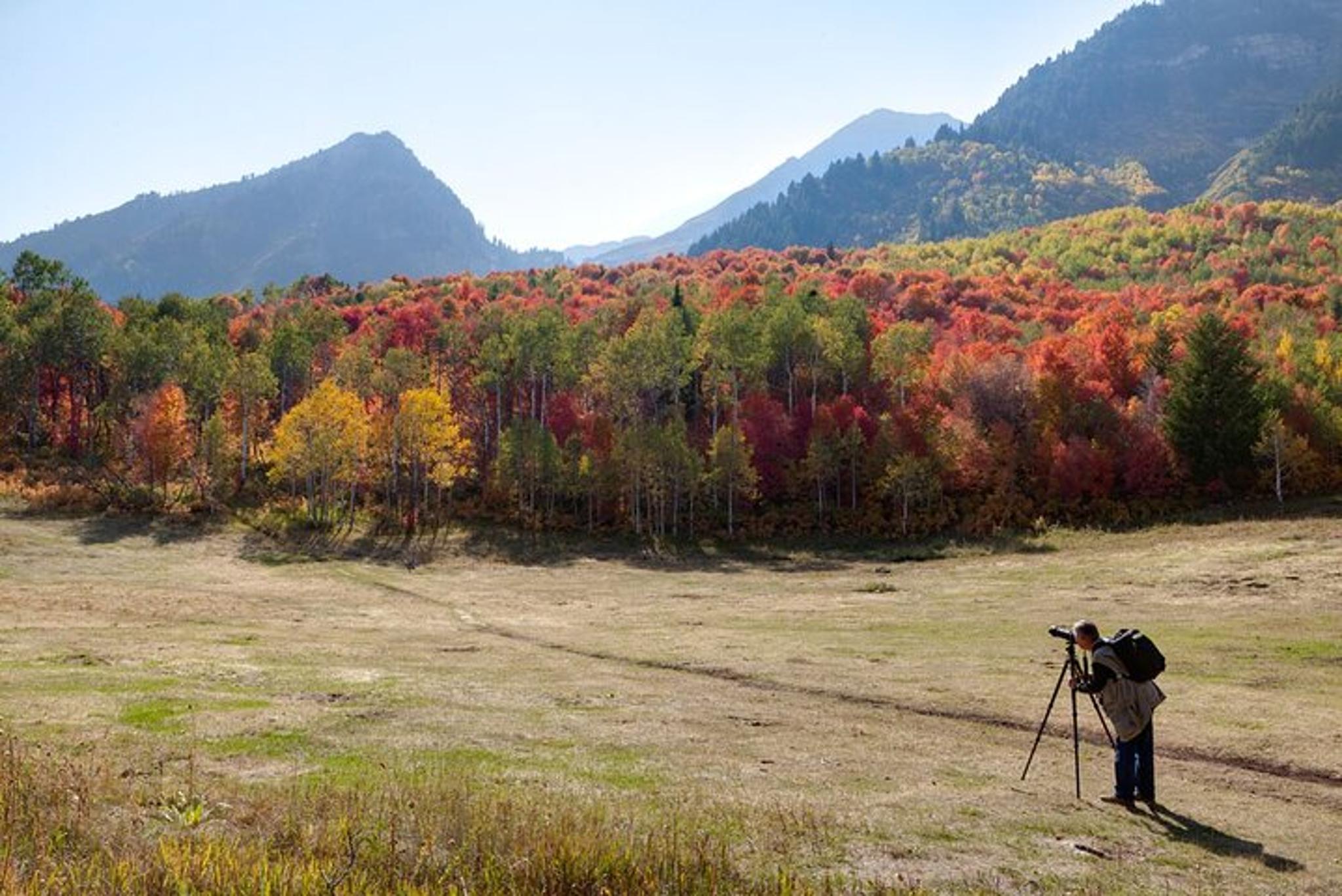 Wasatch Mountains Photo Workshop - Image 4