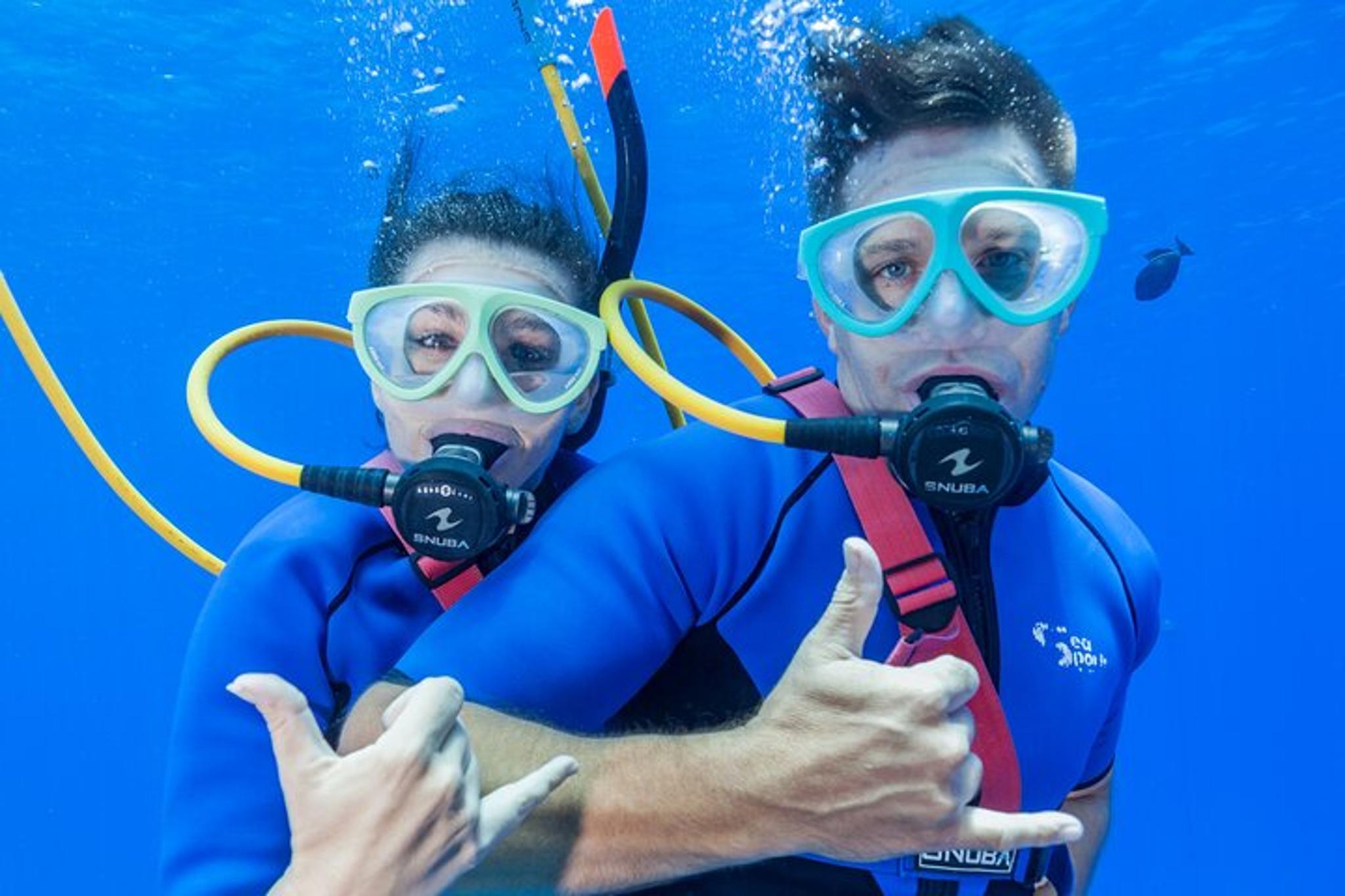 Maui Snorkel Tour to Coral Gardens 3.5 hr - Image 4
