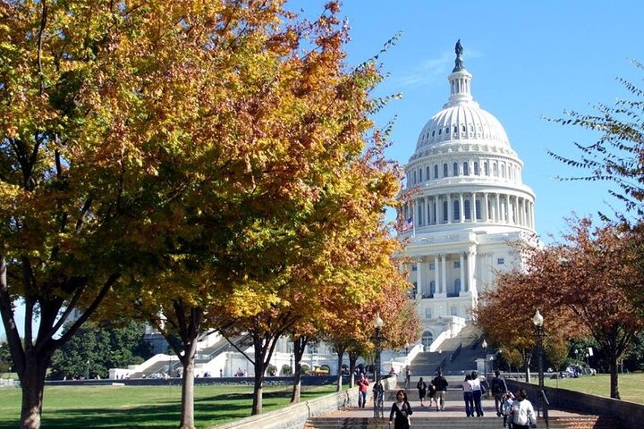 Washington DC Airport Transfer - Image 2