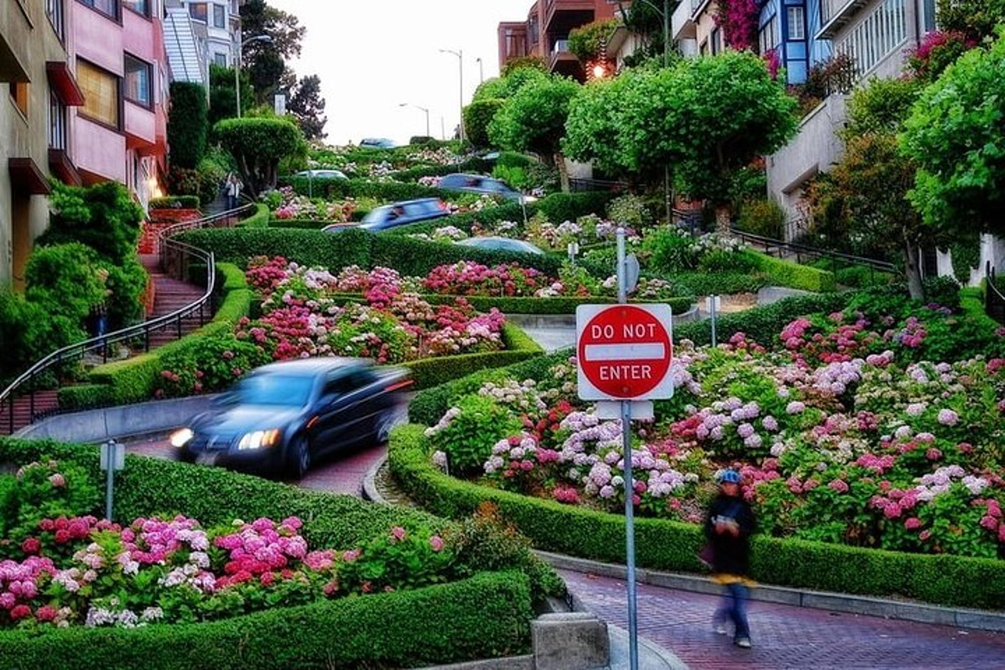 San Francisco Highlights & Stanford Shopping Tour