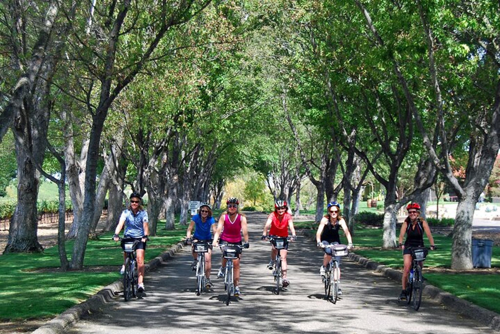 Santa Ynez Wine Country Bike Tour with Lunch - Image 6