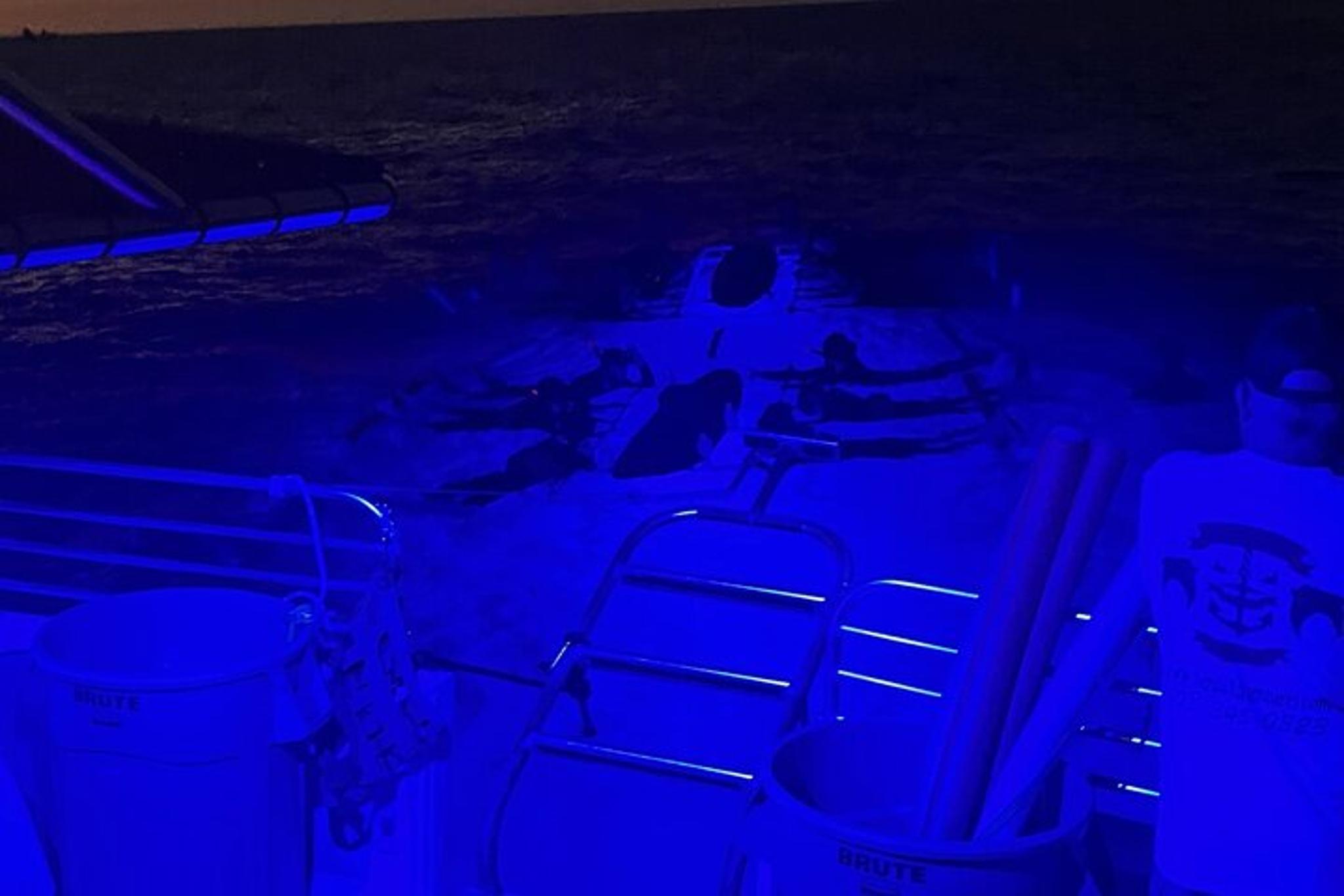 Kona Manta Ray Night Snorkel - Image 3