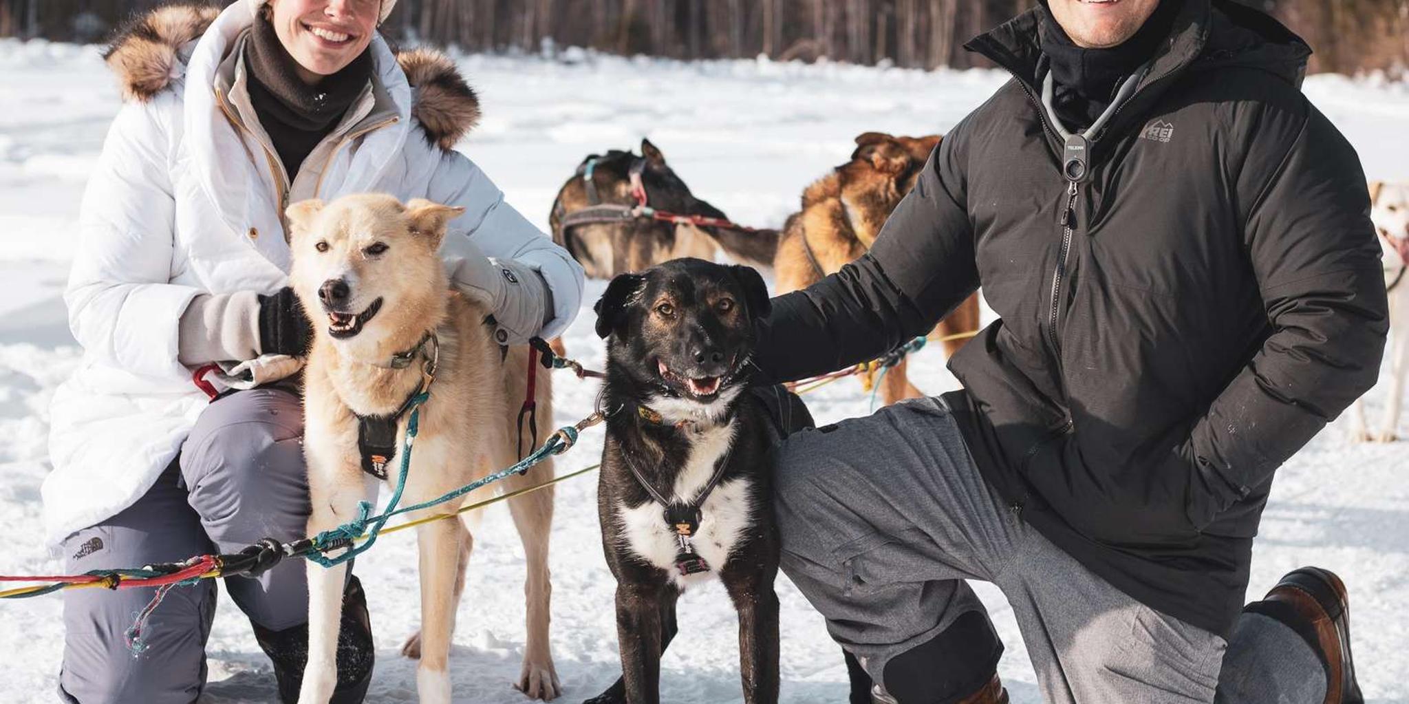 Fairbanks Dog Sledding on the Yukon Quest Trail