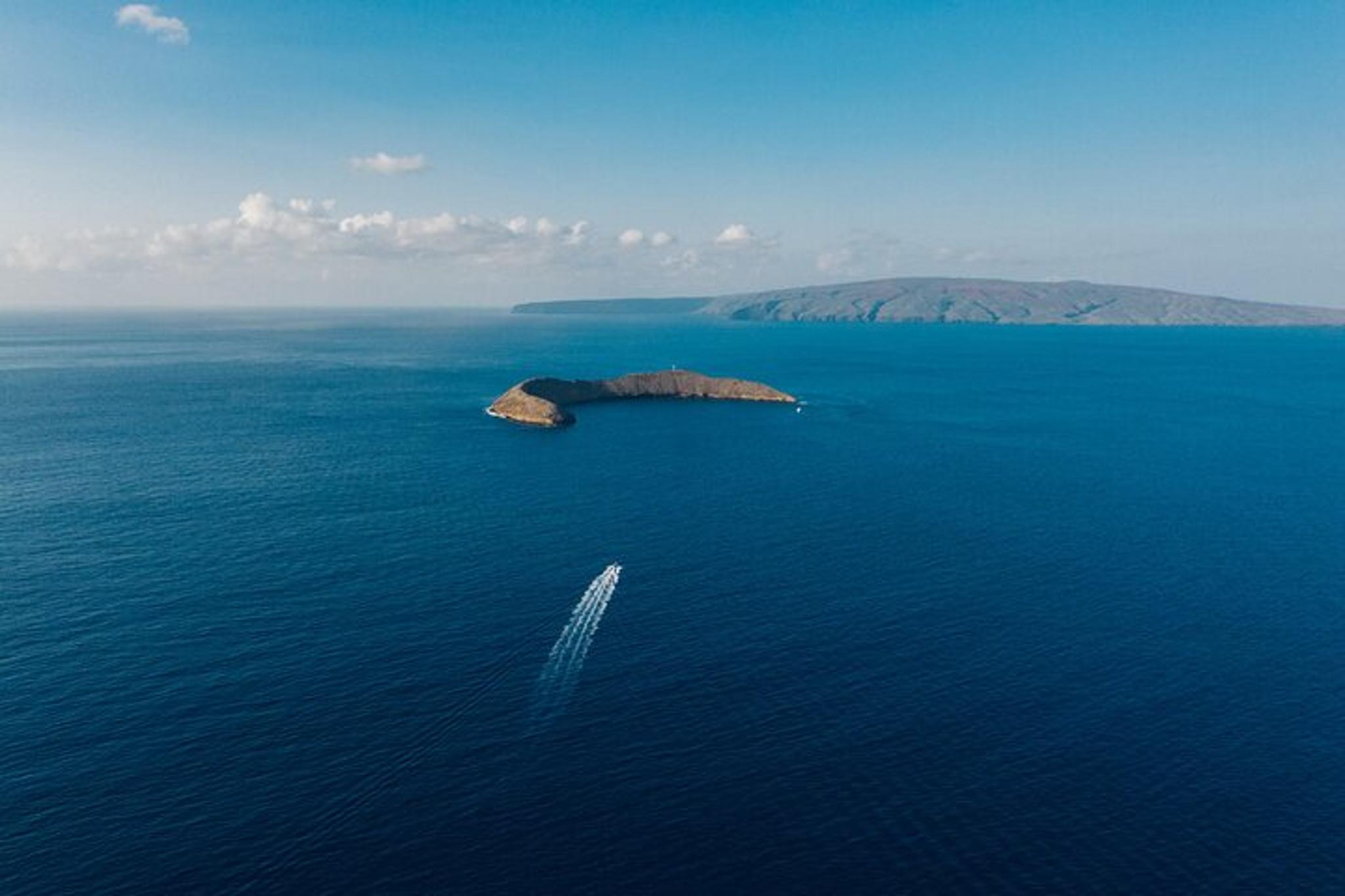 Maui Molokini Snorkel Trip 2 hr - Image 4