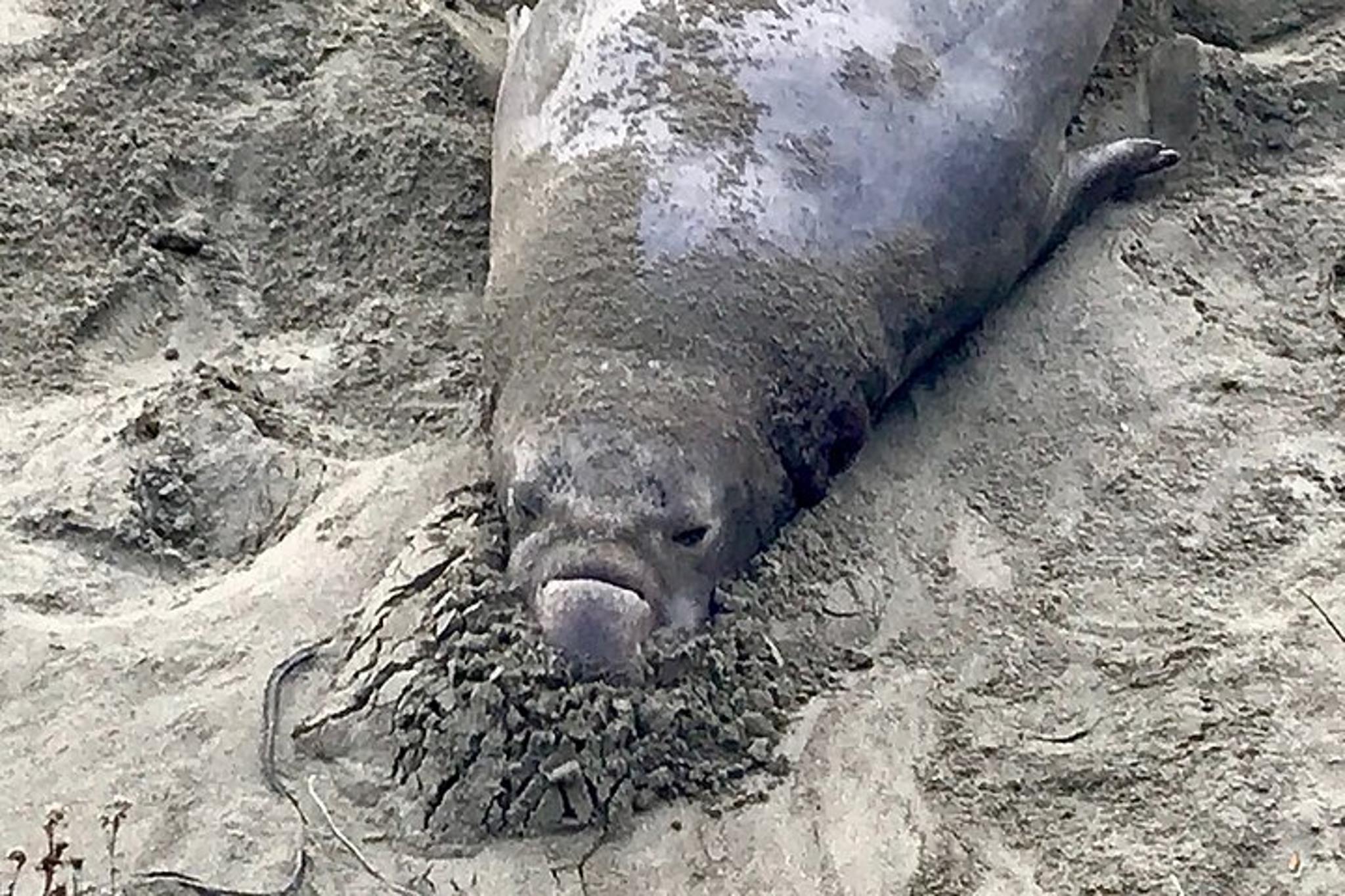 San Luis Obispo Central Coast Private Tour - Image 6