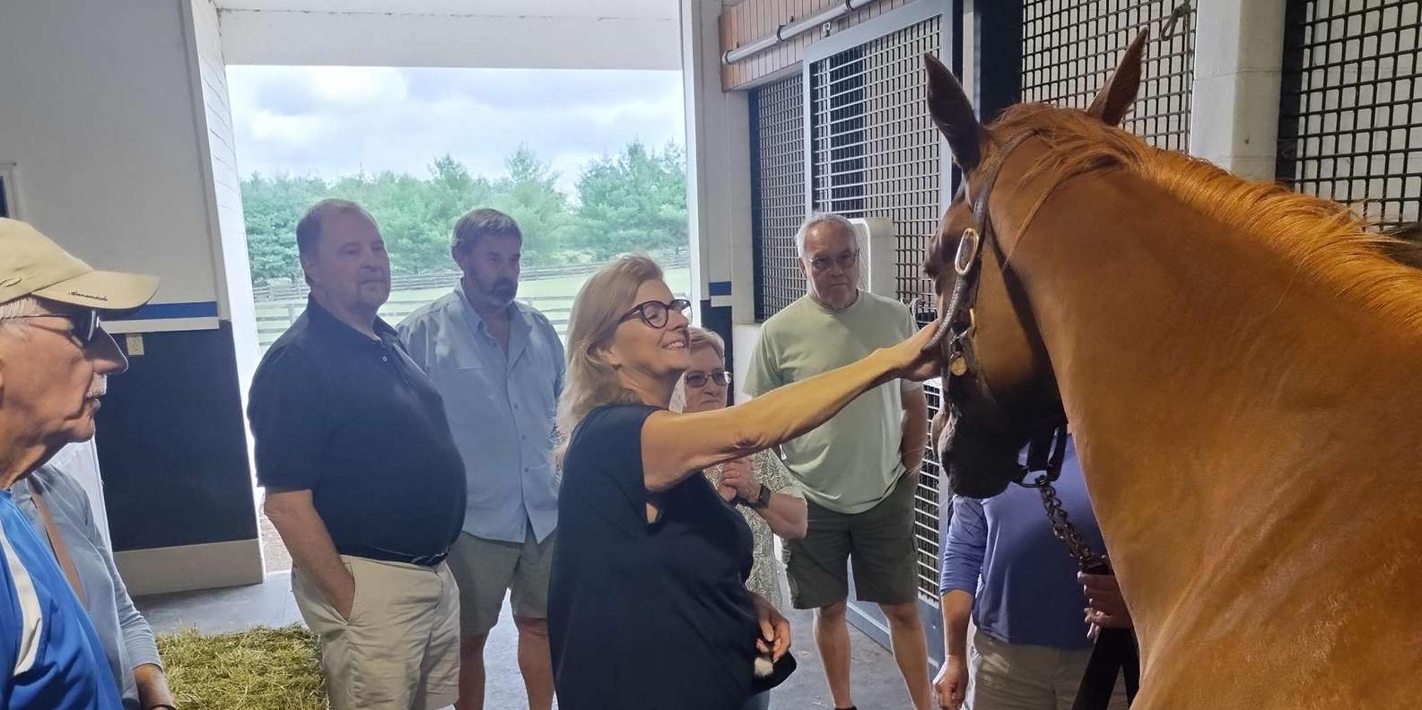 Lexington Thoroughbred Horse Farm Tour - Image 5