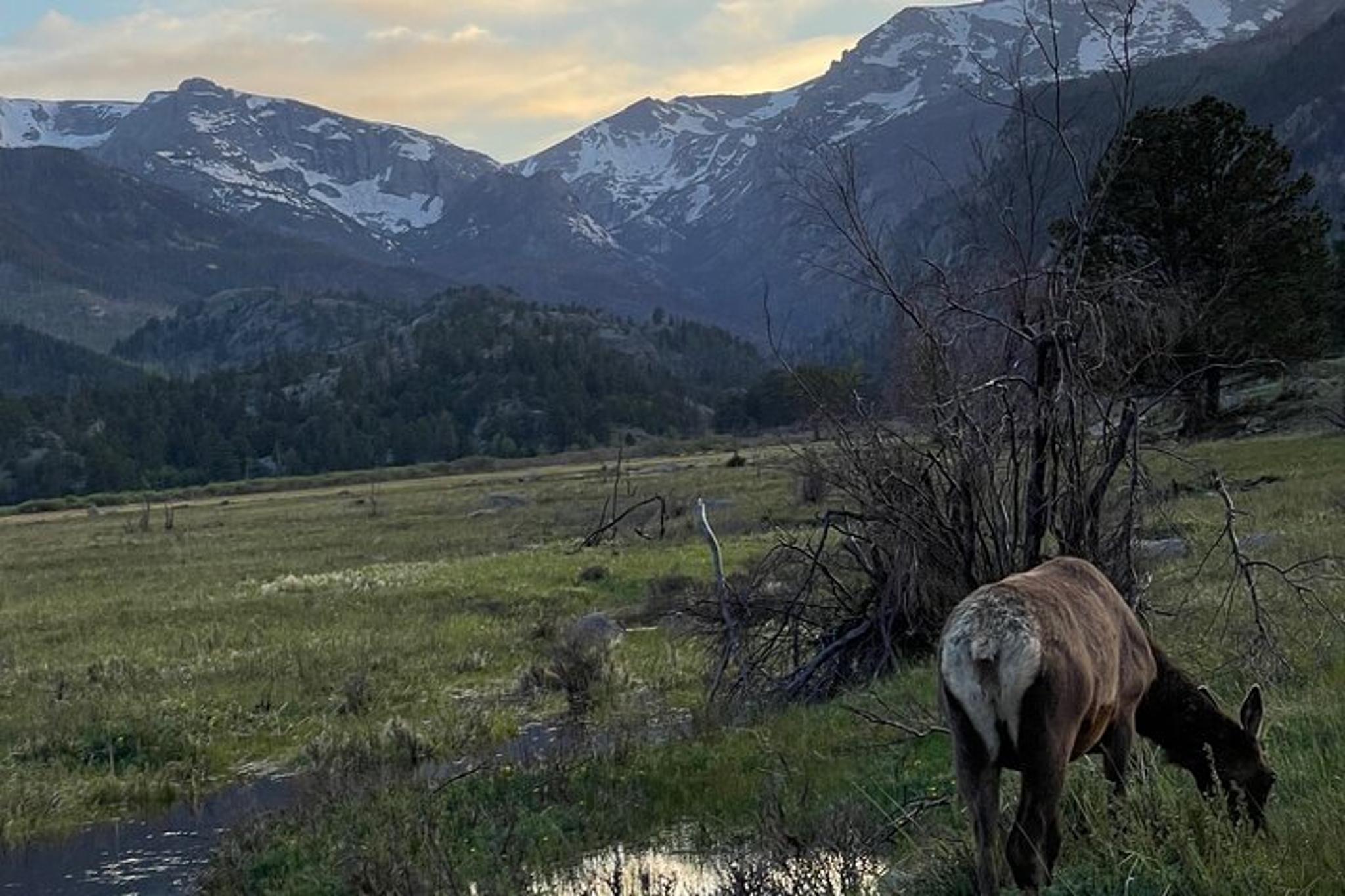 Rocky Mountain Bear Lake Corridor Tour - Image 3