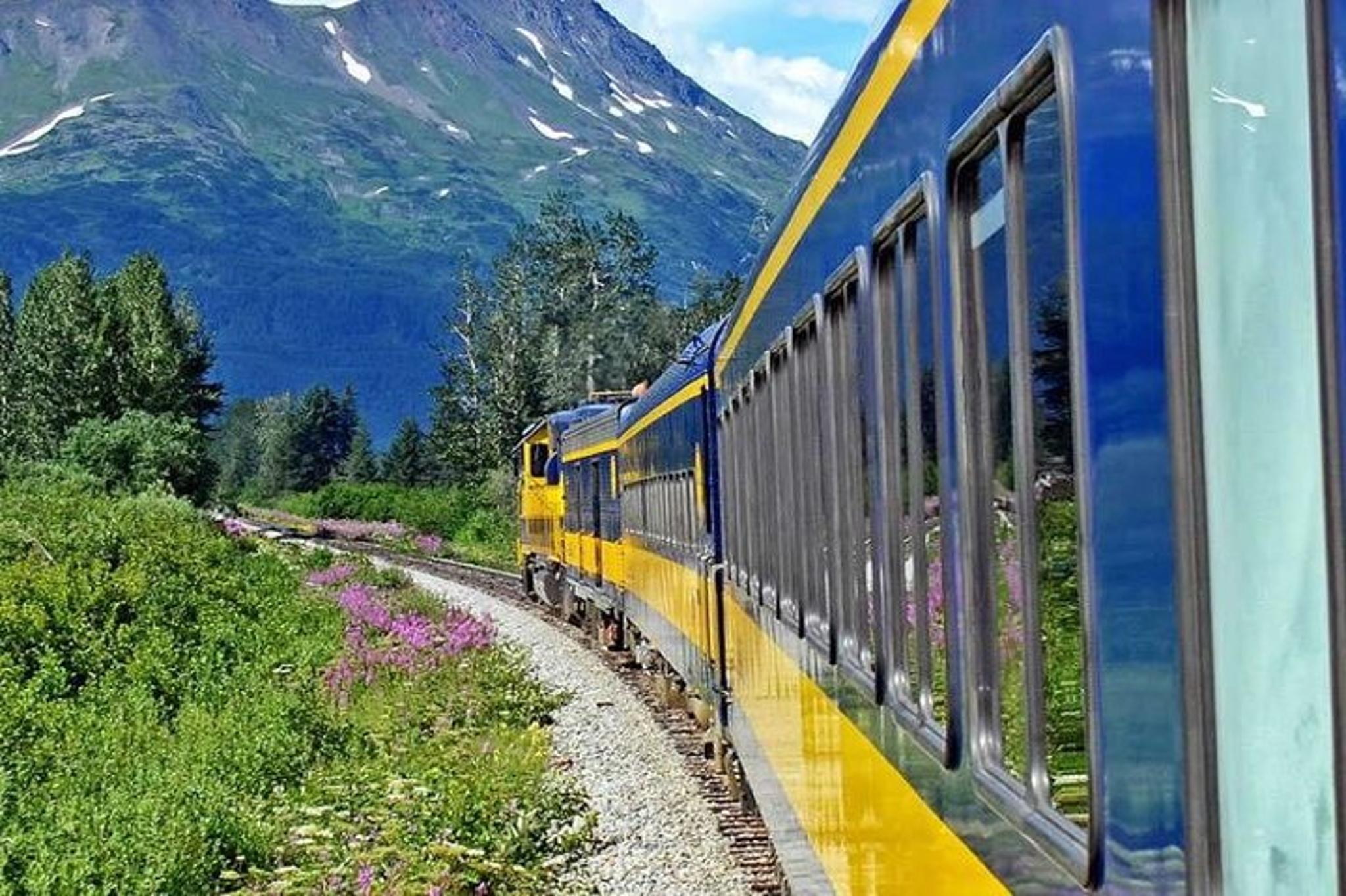 Denali to Anchorage Train Journey - Image 6