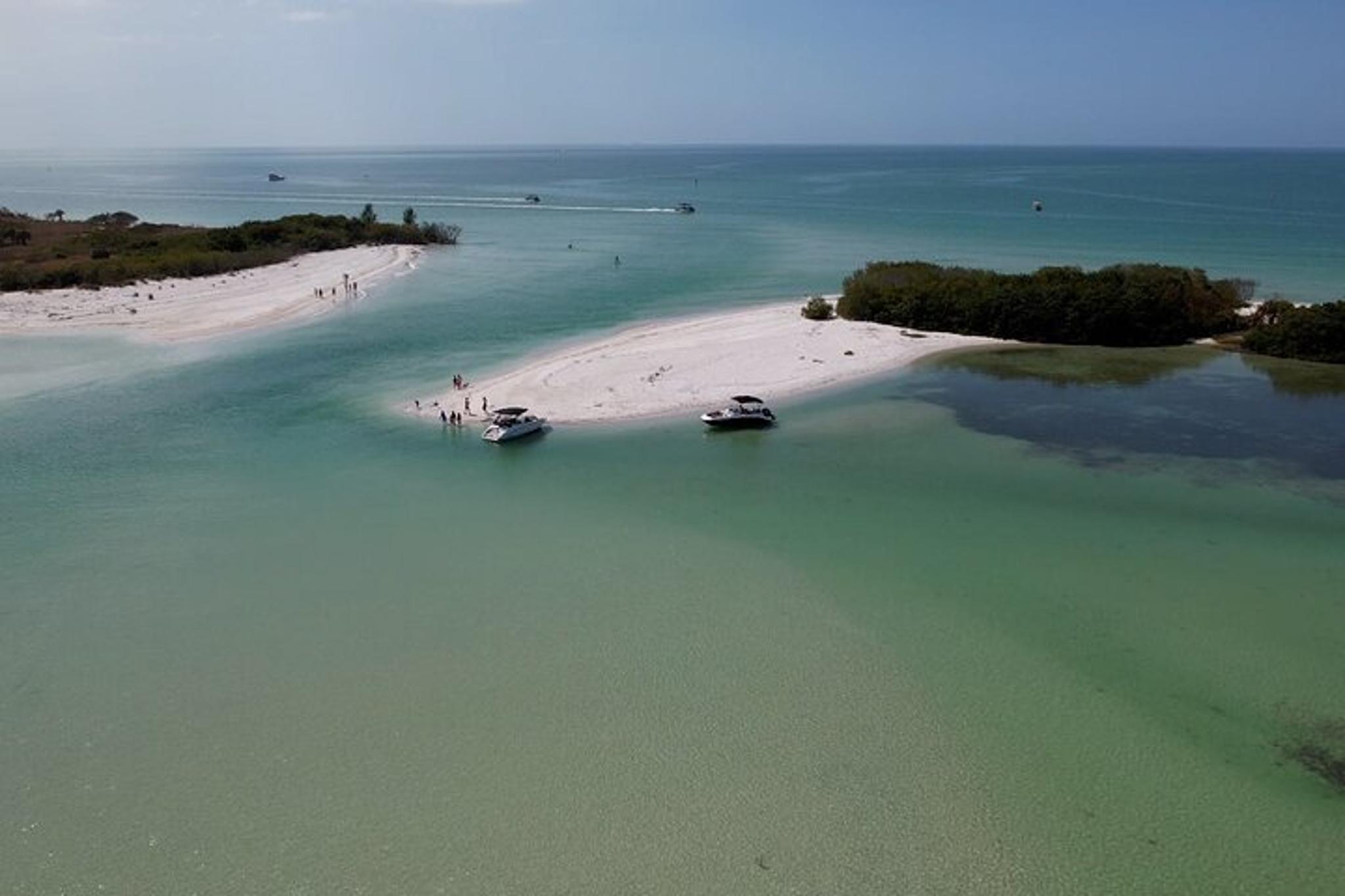 St. Pete Dolphin Watching and Shelling Tour