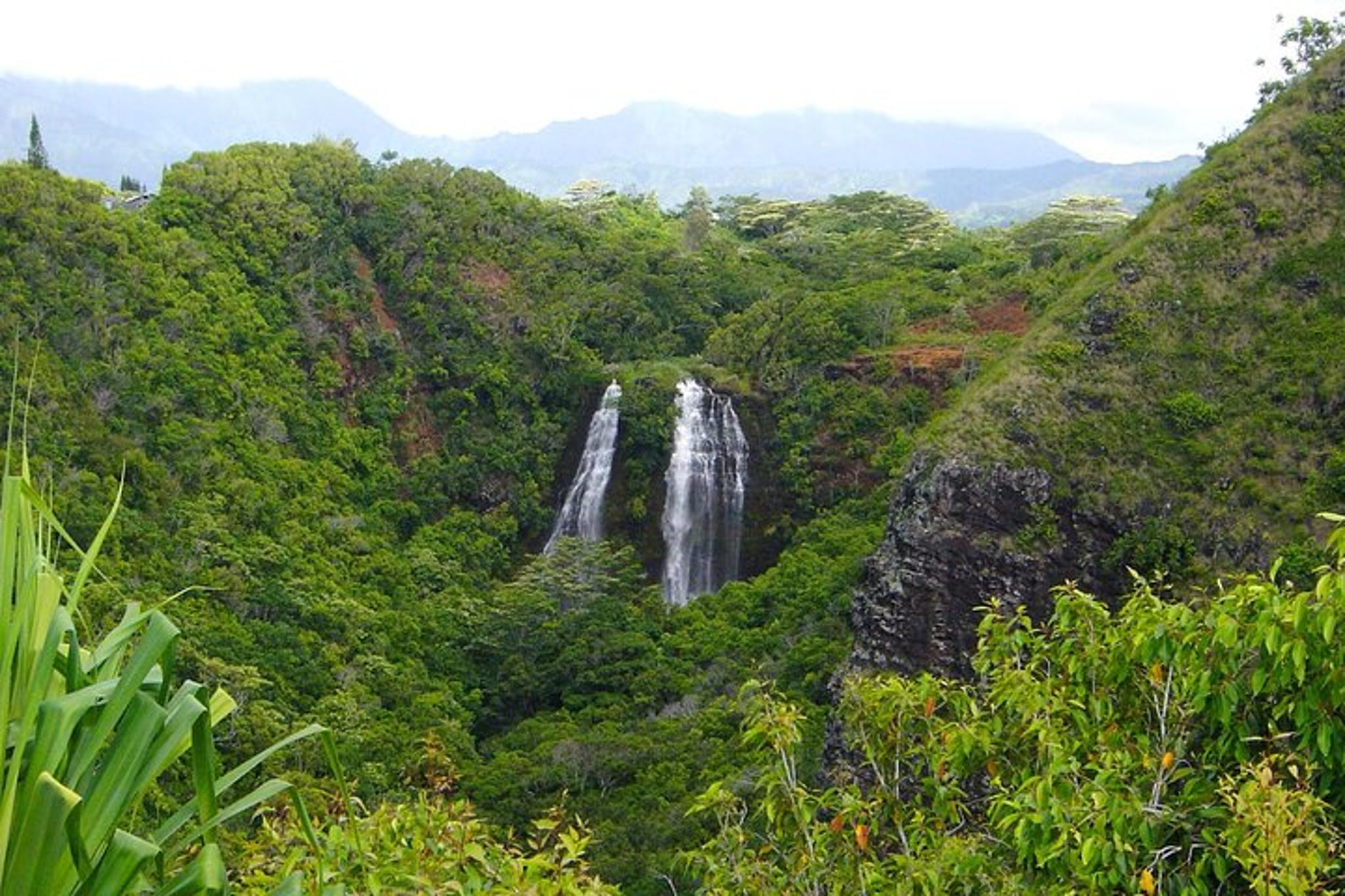 Kauai North Shore Private Guided Tour 6 hr - Image 6