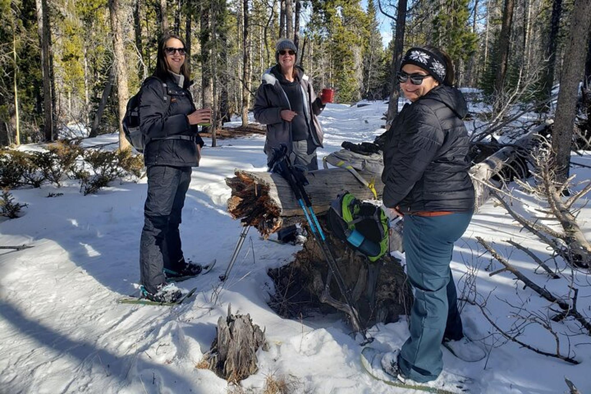 Rocky Mountain National Park Snowshoeing for Beginners - Image 6