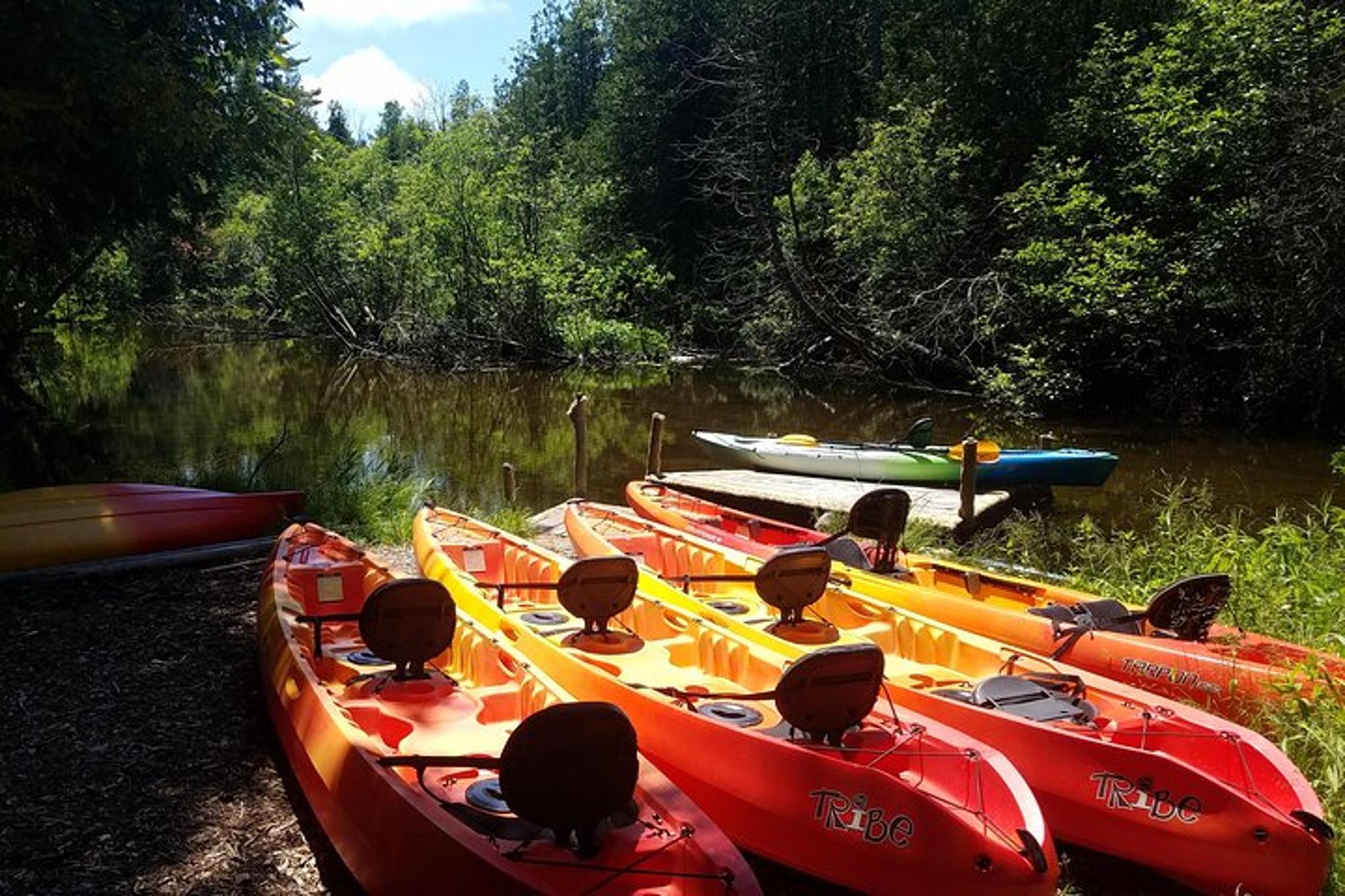 Jacksonport Wetlands Kayak Tour - Image 5