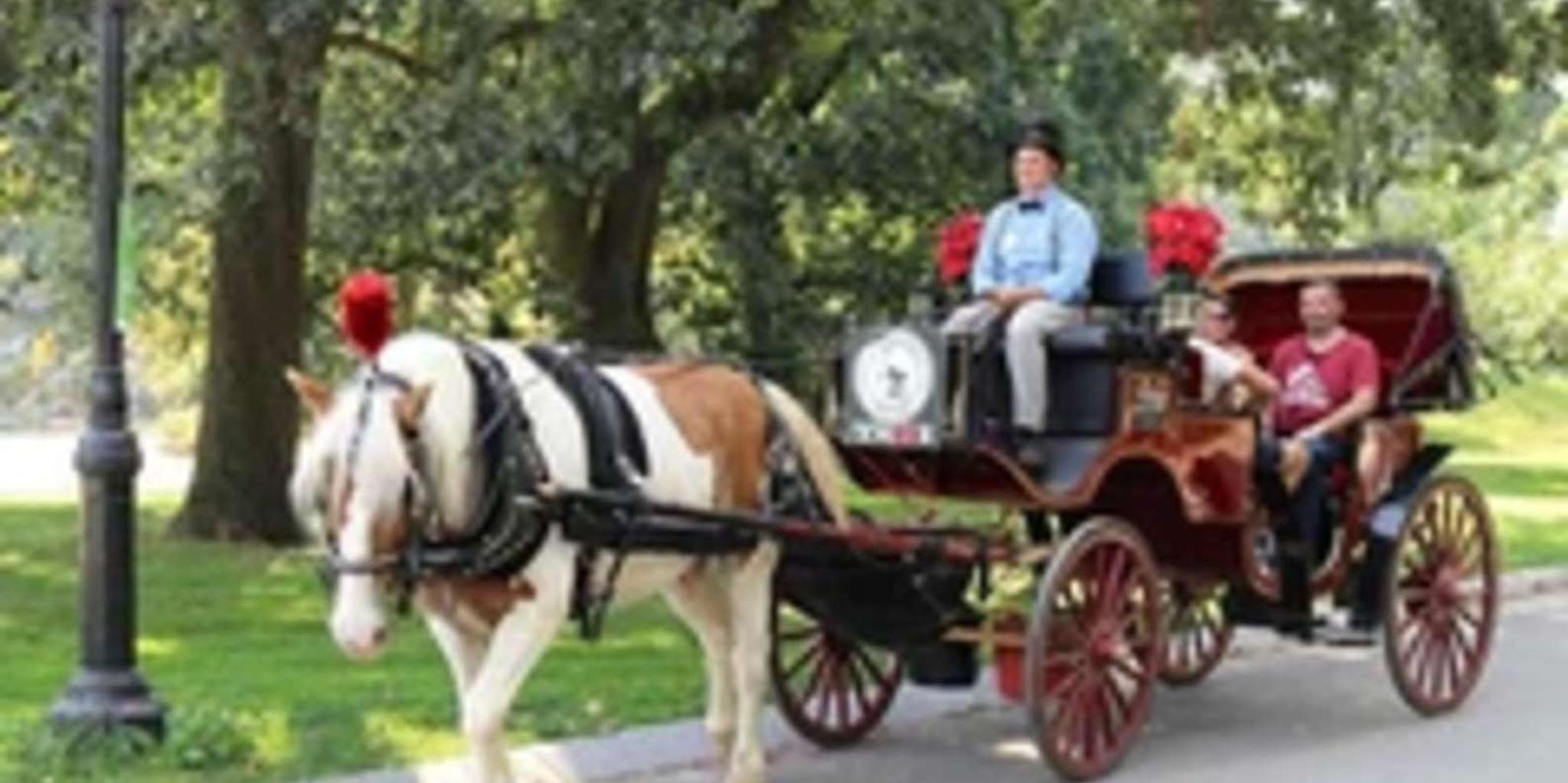 New York City Central Park Horse Carriage Ride 45 Min - Image 5