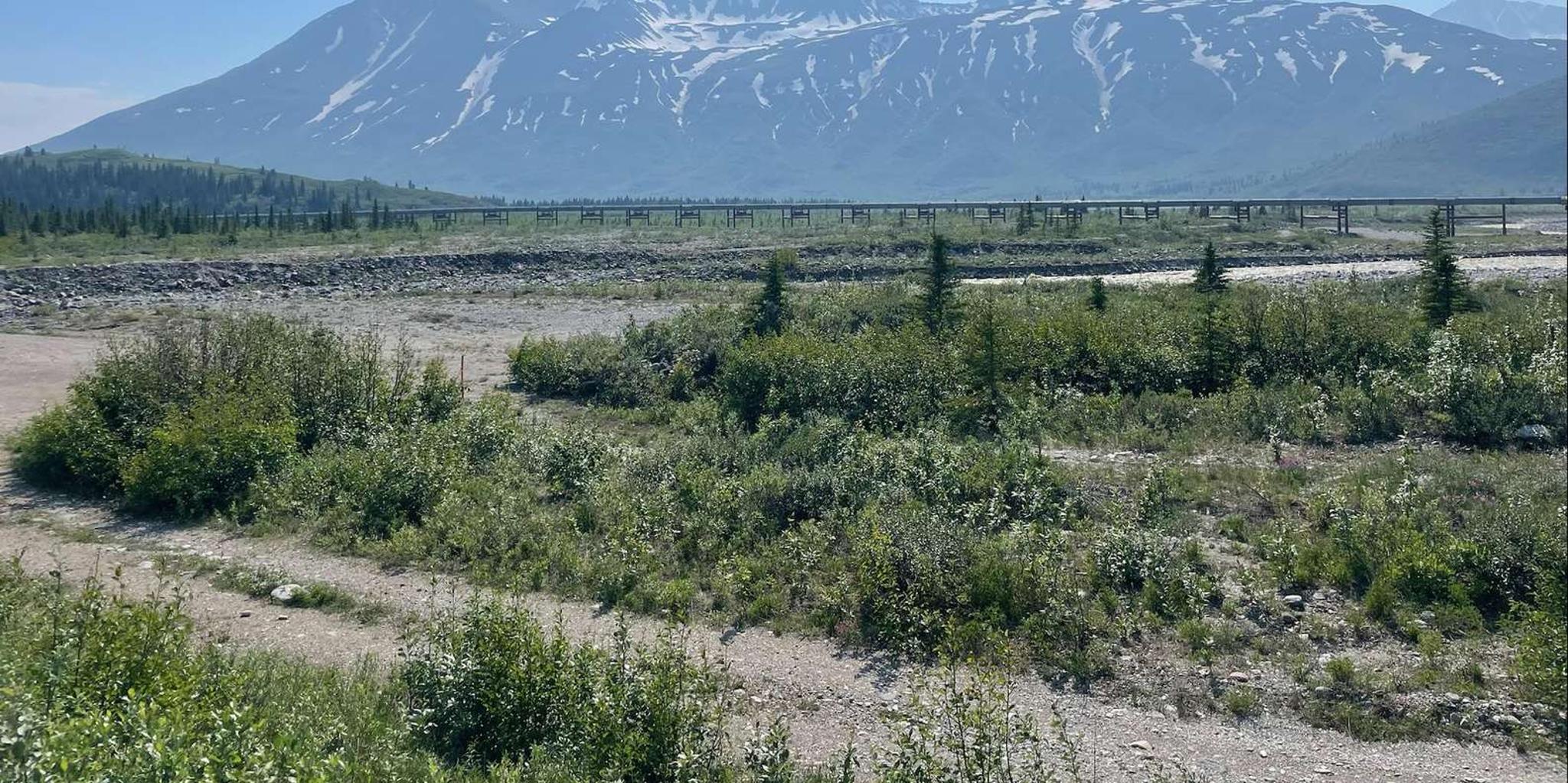 Anchorage Glacial Lake and Waterfall Tour - Image 4