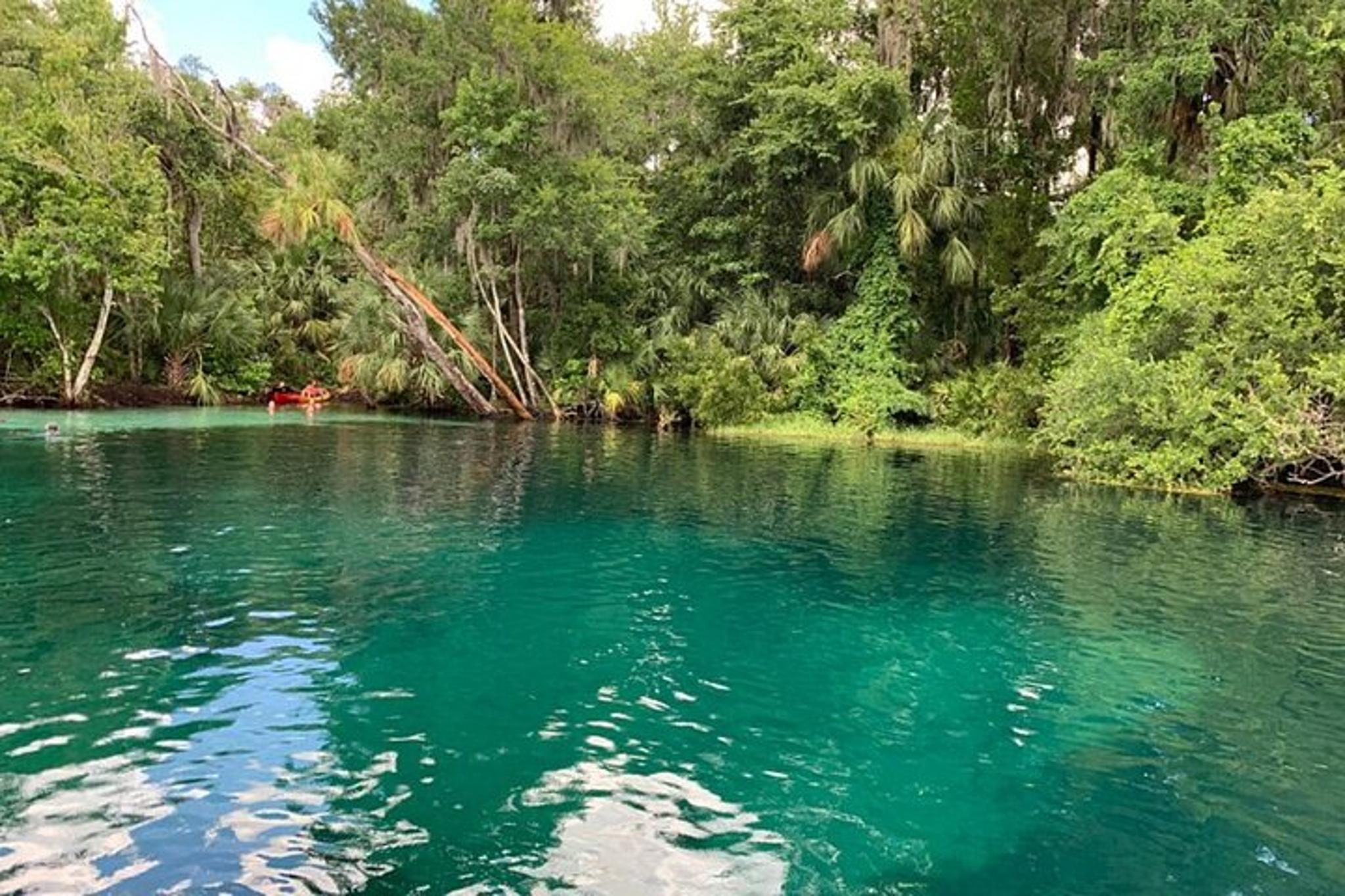 Florida Rainbow River Snorkel or Dive Tour - Image 5