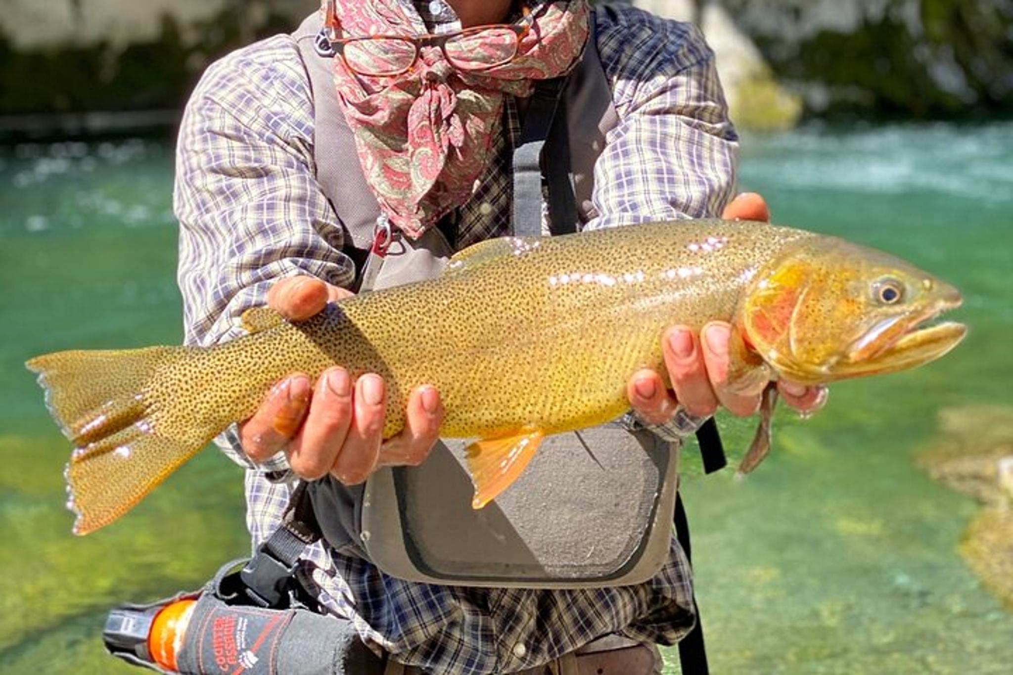 Wyoming Fly Fishing Half-Day - Image 1