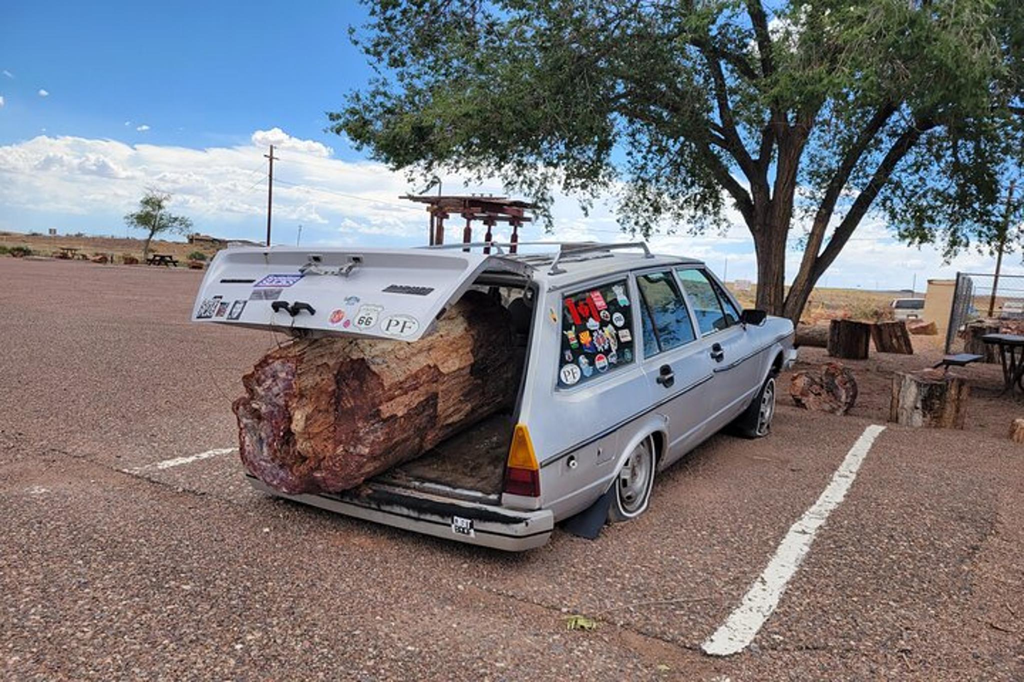 Sedona Petrified Forest and Painted Desert Tour - Image 3