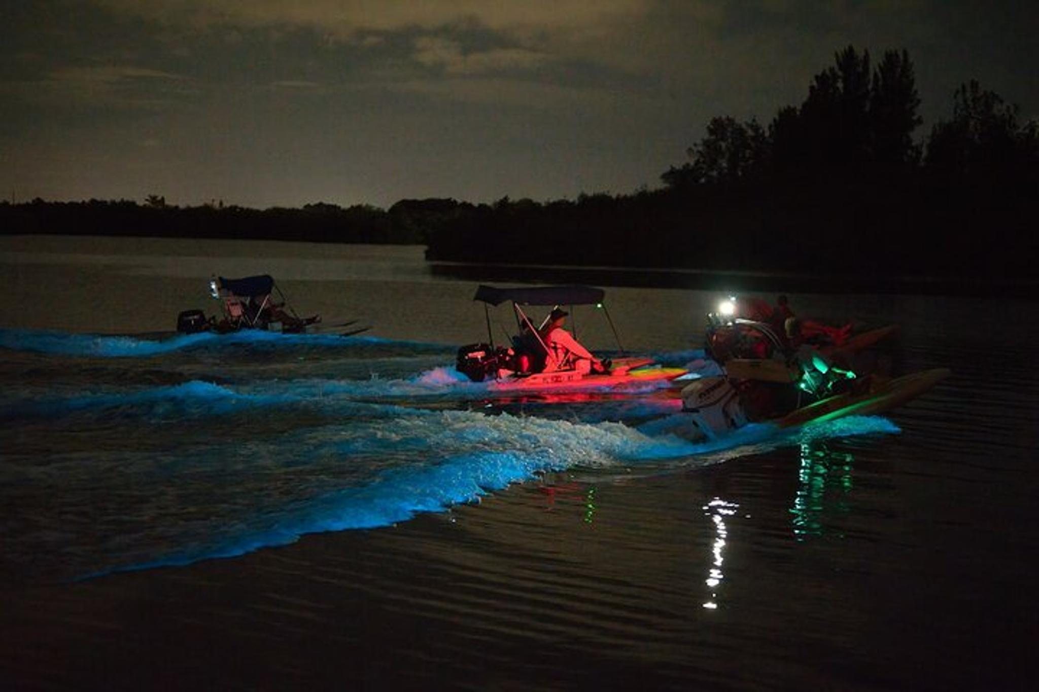 Indian River Lagoon Bioluminescence Craigcat Tour 2 hr - Image 2