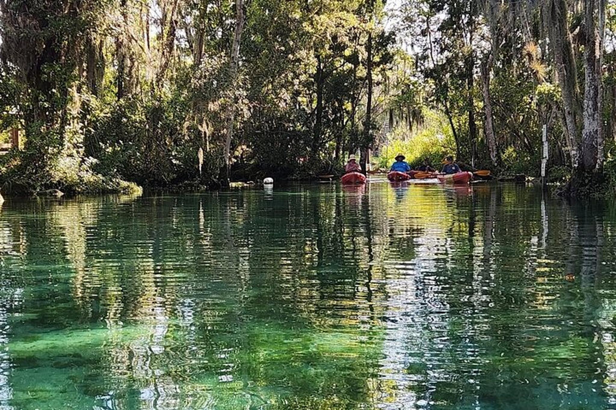 Crystal River Kayak Adventure - Image 5