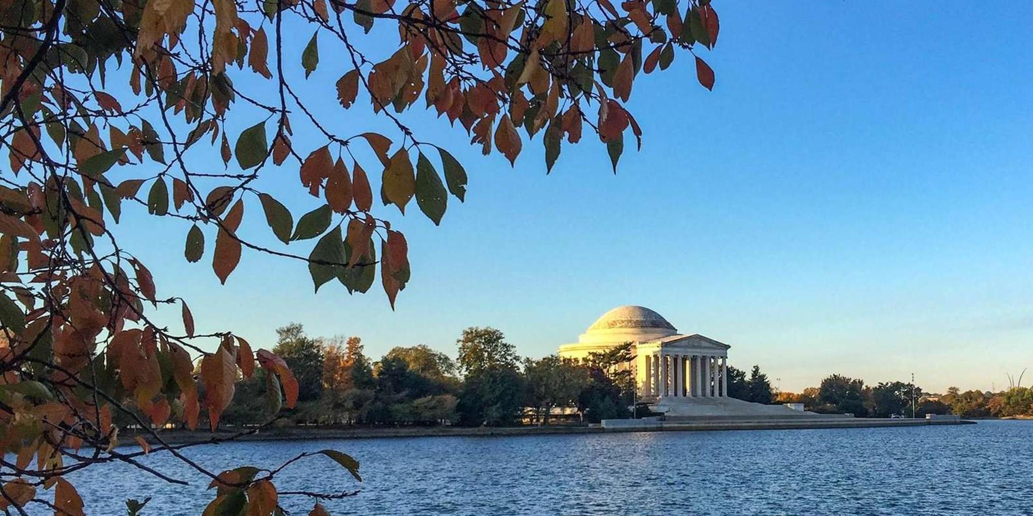 Washington Monuments Tour - Image 5