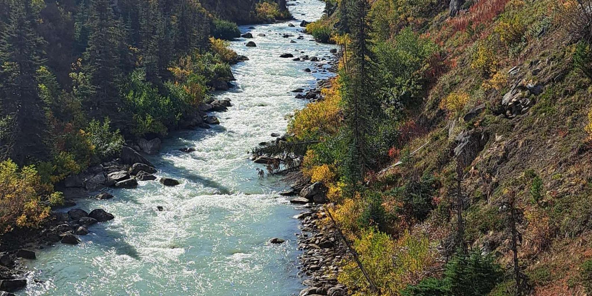 Skagway Yukon Suspension Bridge Adventure 4 hr - Image 2