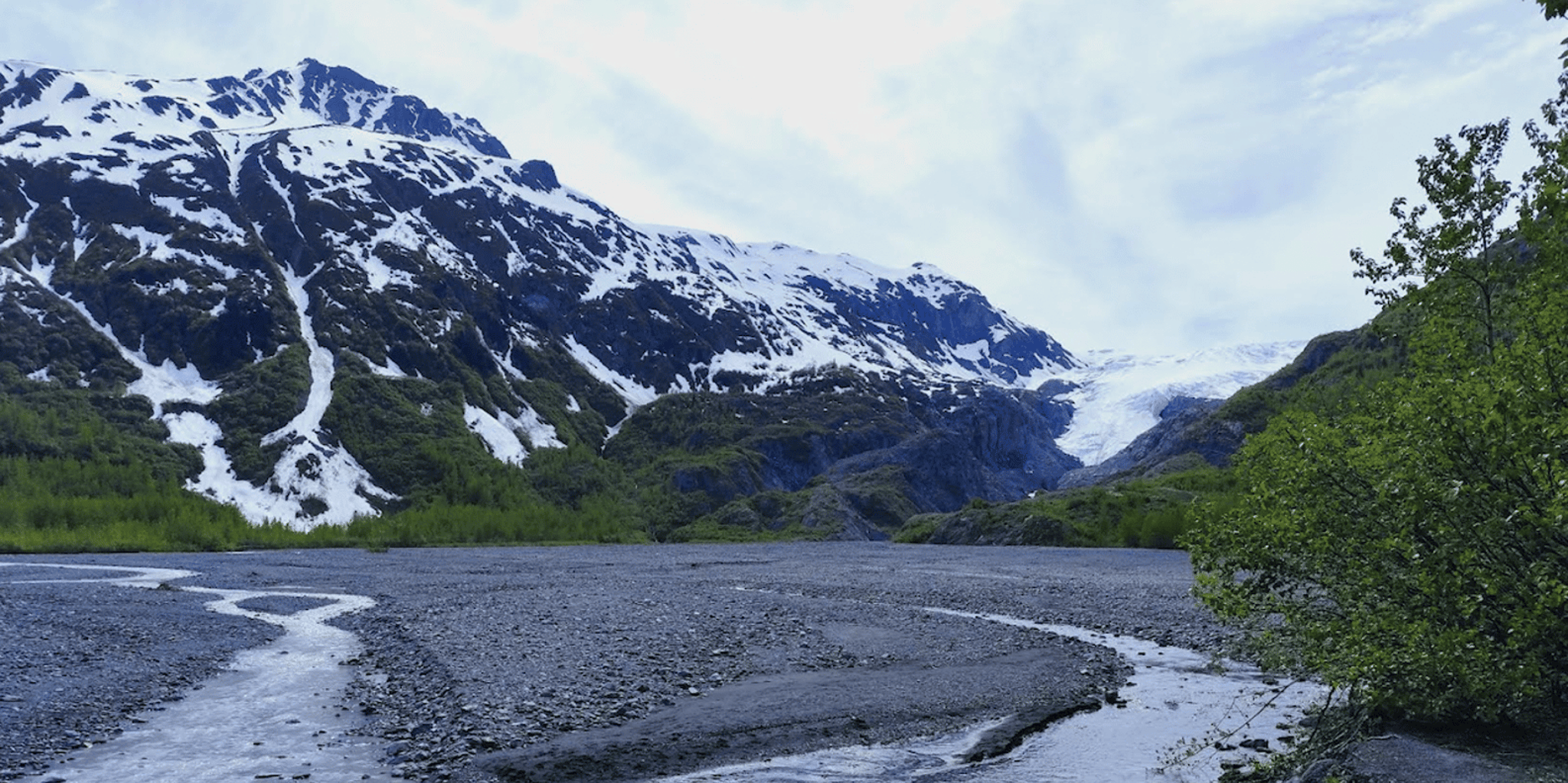Seward Exit Glacier Nature Hike 2.5 hr - Image 3