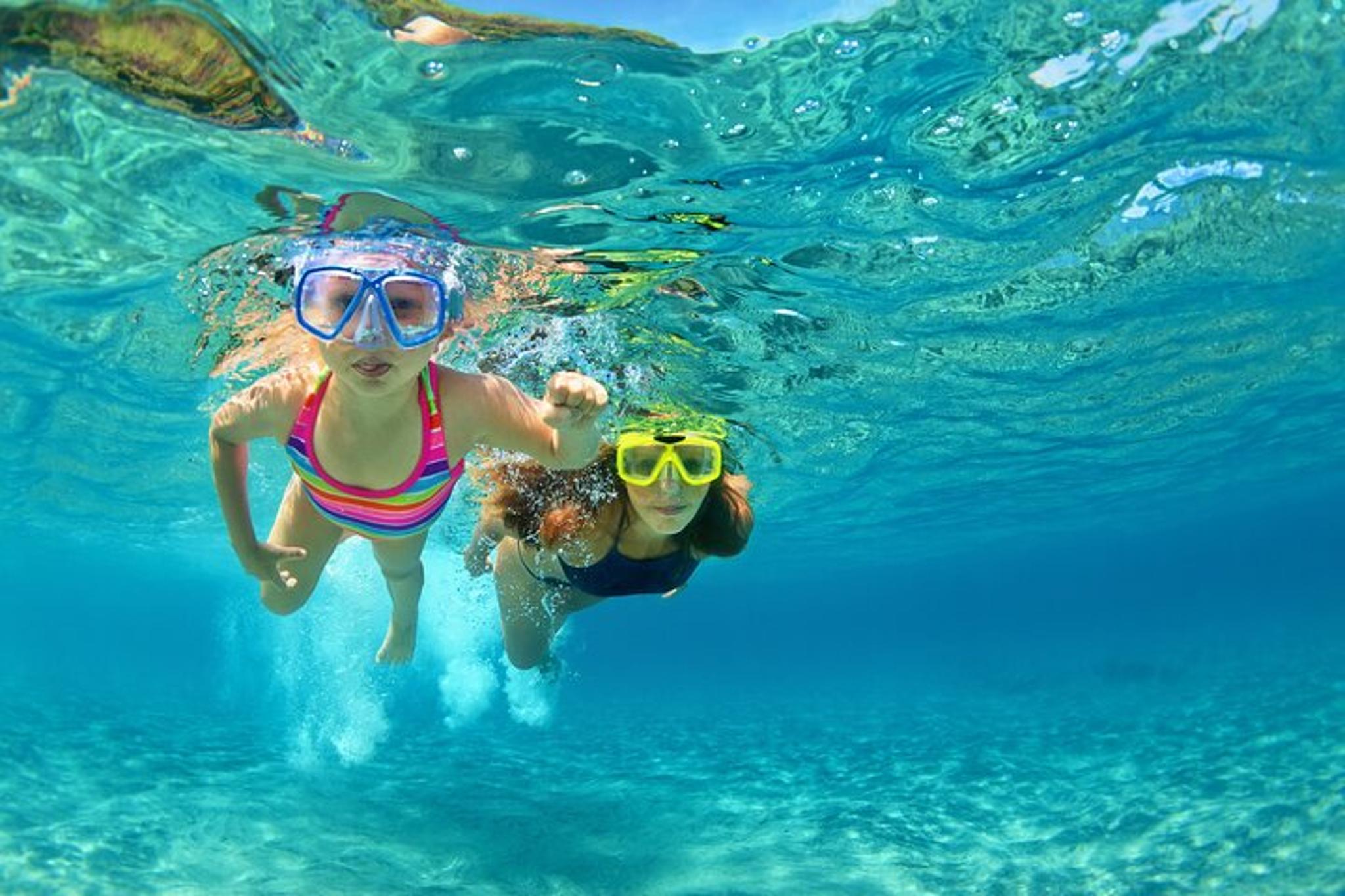 South Padre Island Snorkel Tour Small Group 90 Min - Image 2