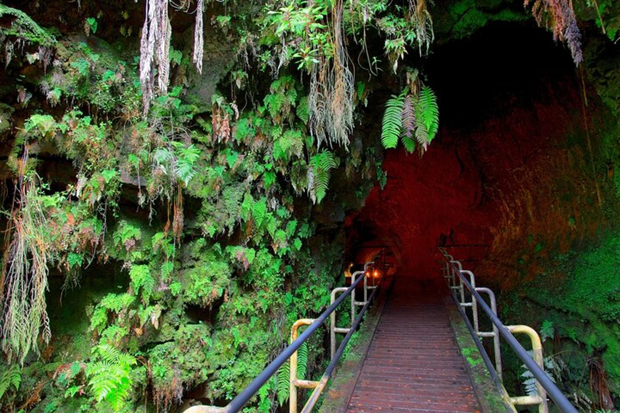 Hilo Volcano and Waterfall Tour with Lunch - Image 6