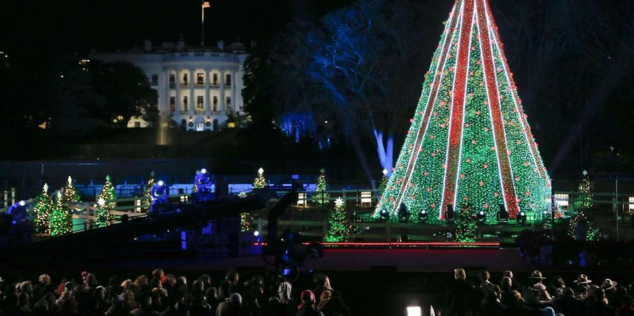 Washington Christmas Tour - Image 6