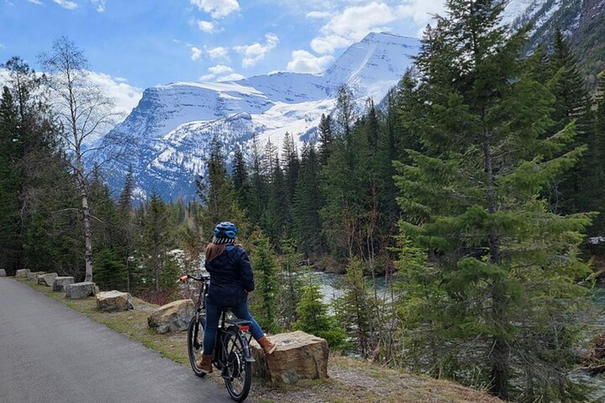 Whitefish E-Bike Shuttle to Going-to-the-Sun Road - Image 6