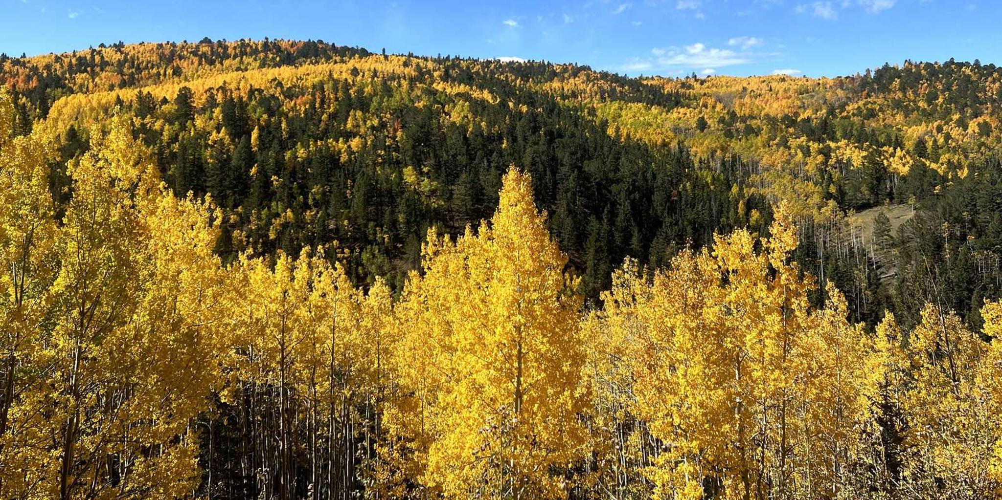 Colorado Springs Jeep Tour of Cripple Creek and Garden of the Gods - Image 2