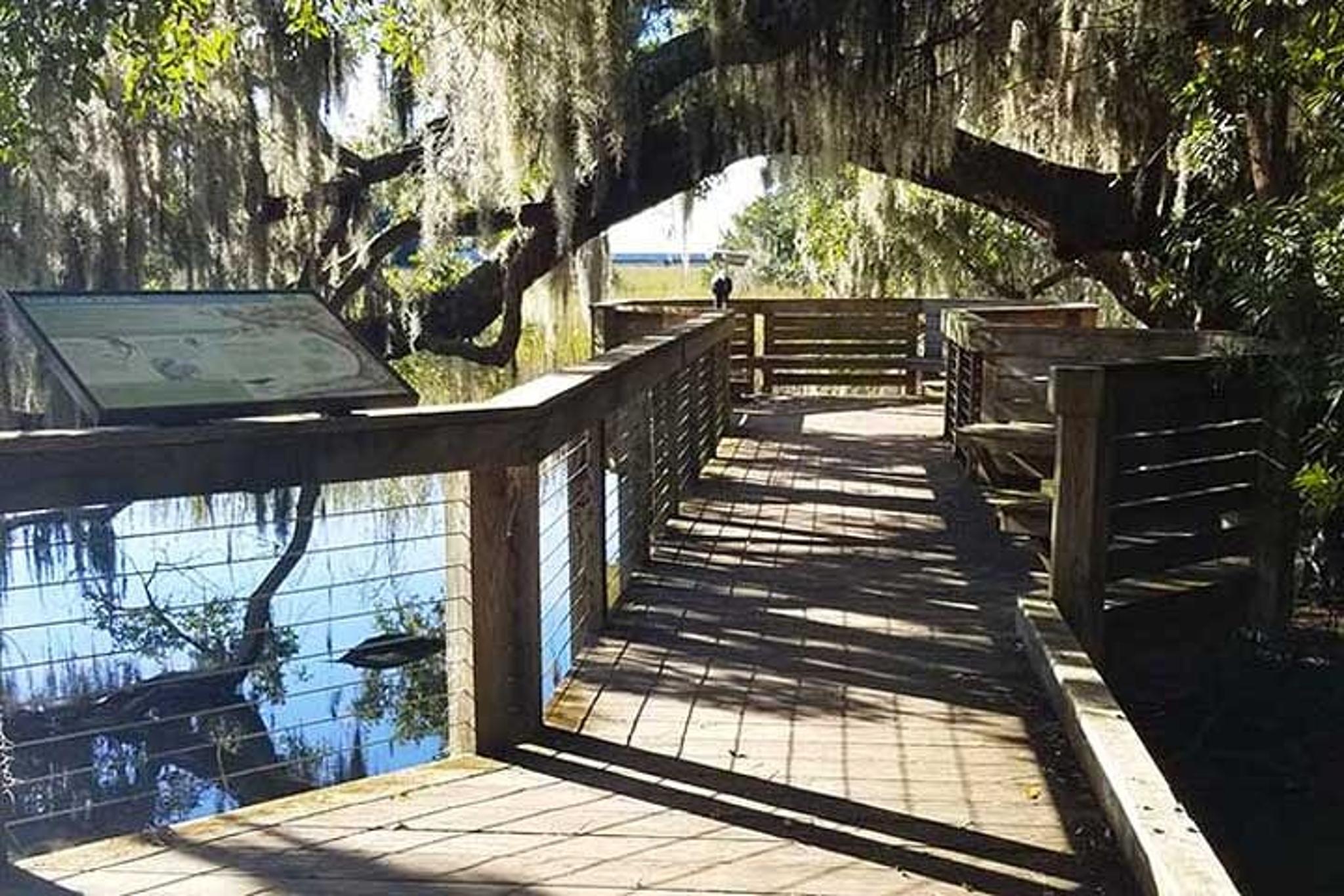 Hilton Head Segway Eco Discovery Tour 90 Min - Image 3