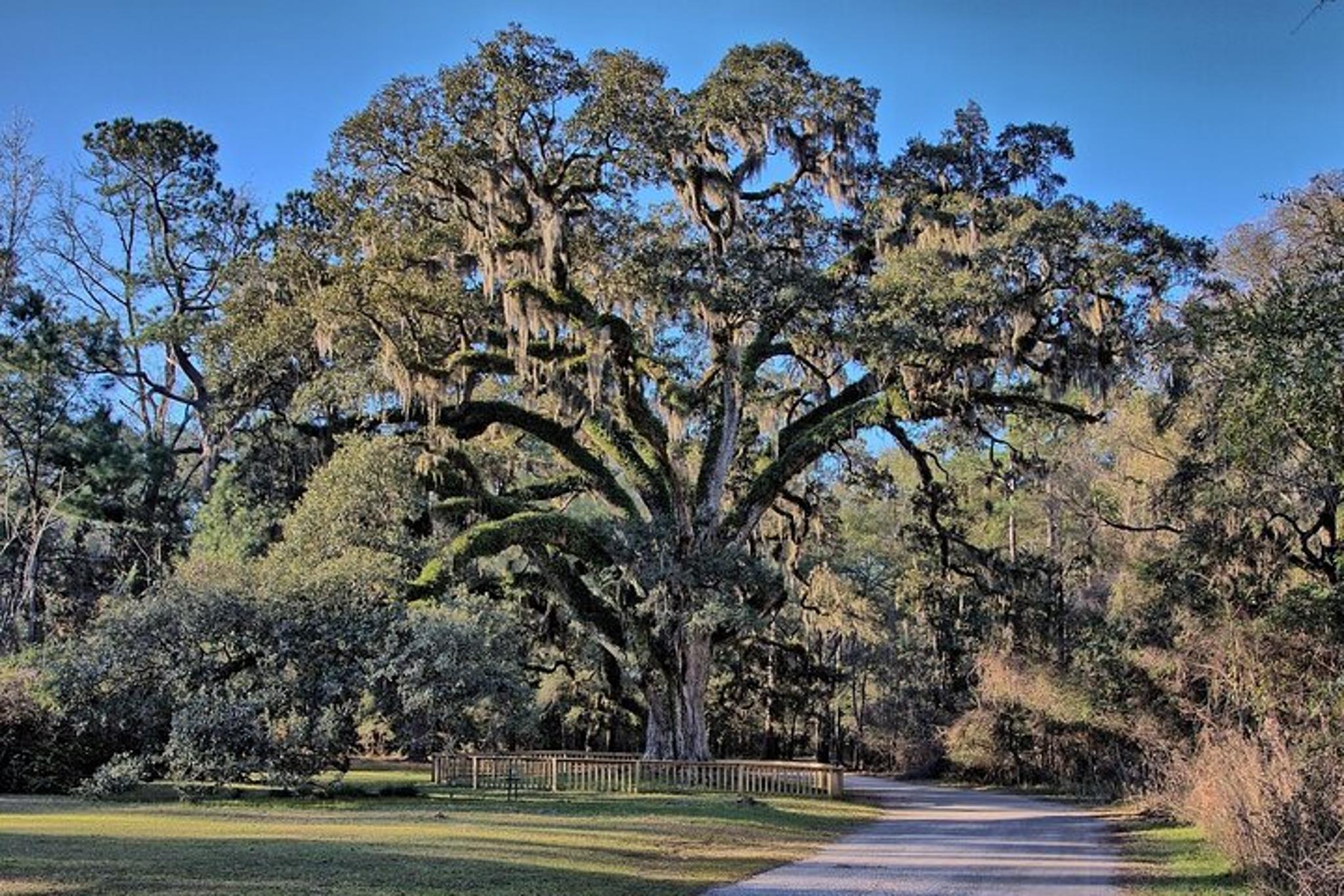 Gulf Shores Multi-Attraction Pass - Image 5