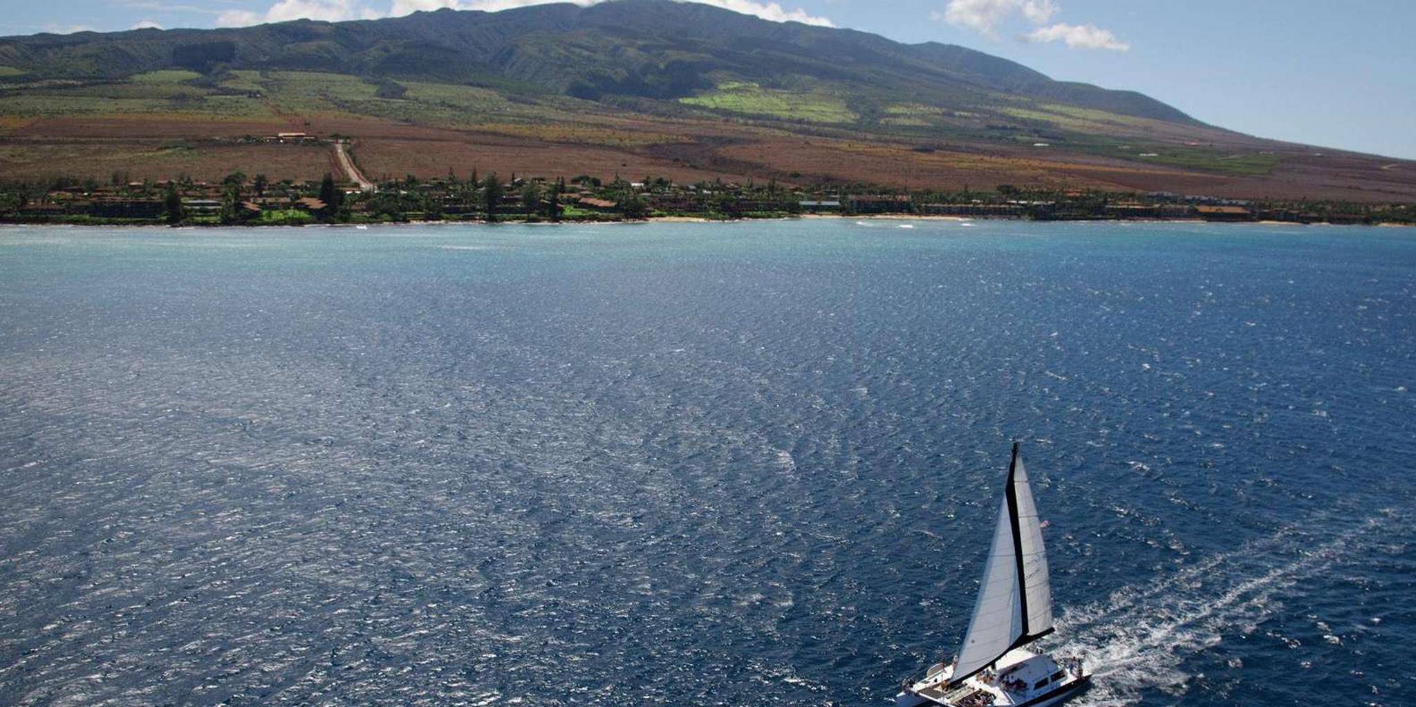 Maui Snorkeling and Sailing Adventure - Image 5