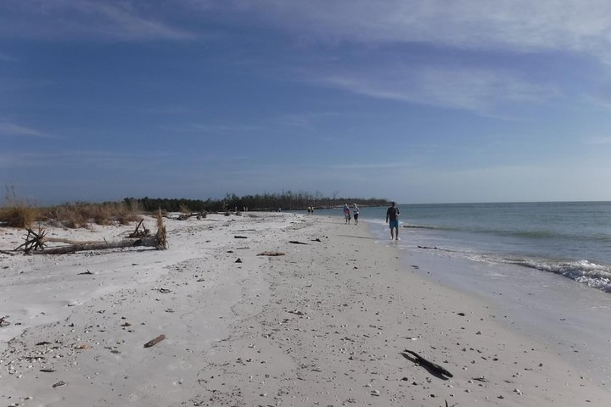 10,000 Islands Shelling Boat Tour - Image 4