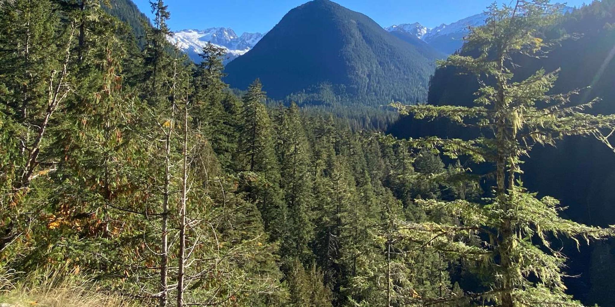 Seattle North Cascades Day Trip - Image 6