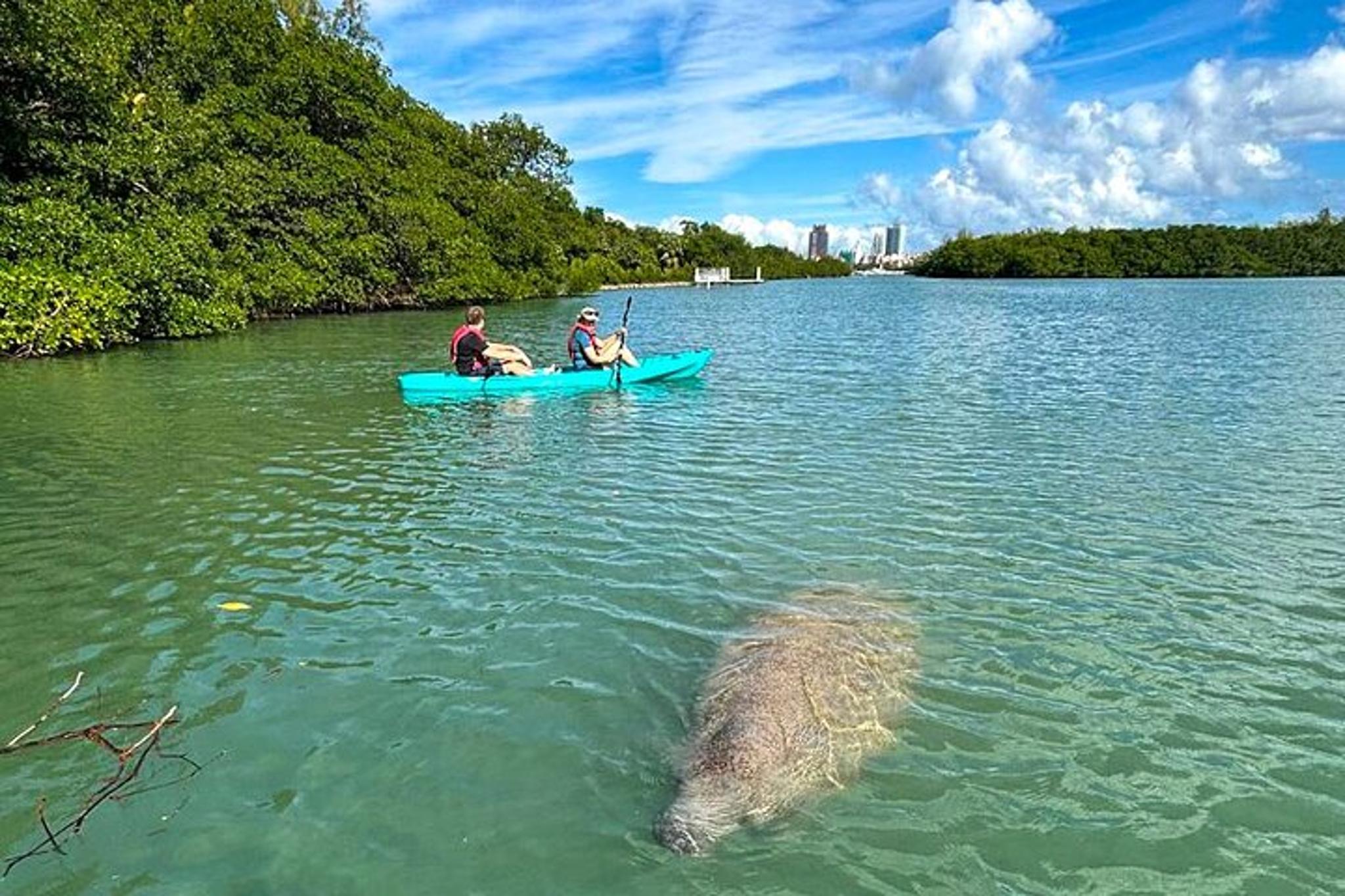 Miami Manatee Paddle Tour from Virginia Key 2 hr - Image 4